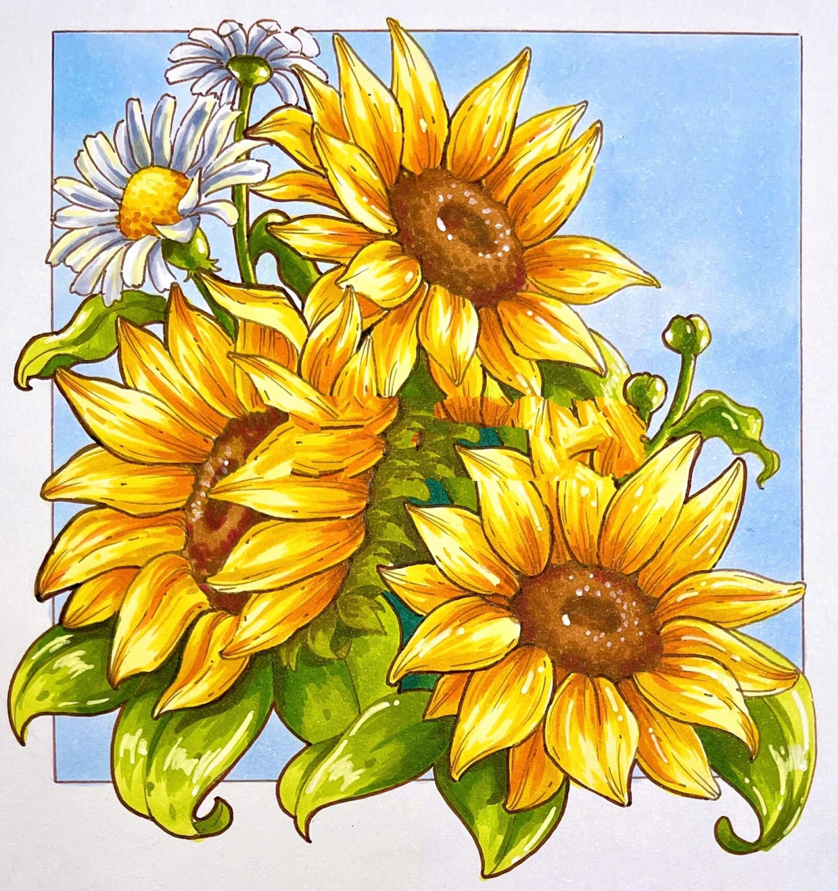 视觉传达手绘-花卉素材-向日葵97上色 线稿 这次画了考研手绘高频