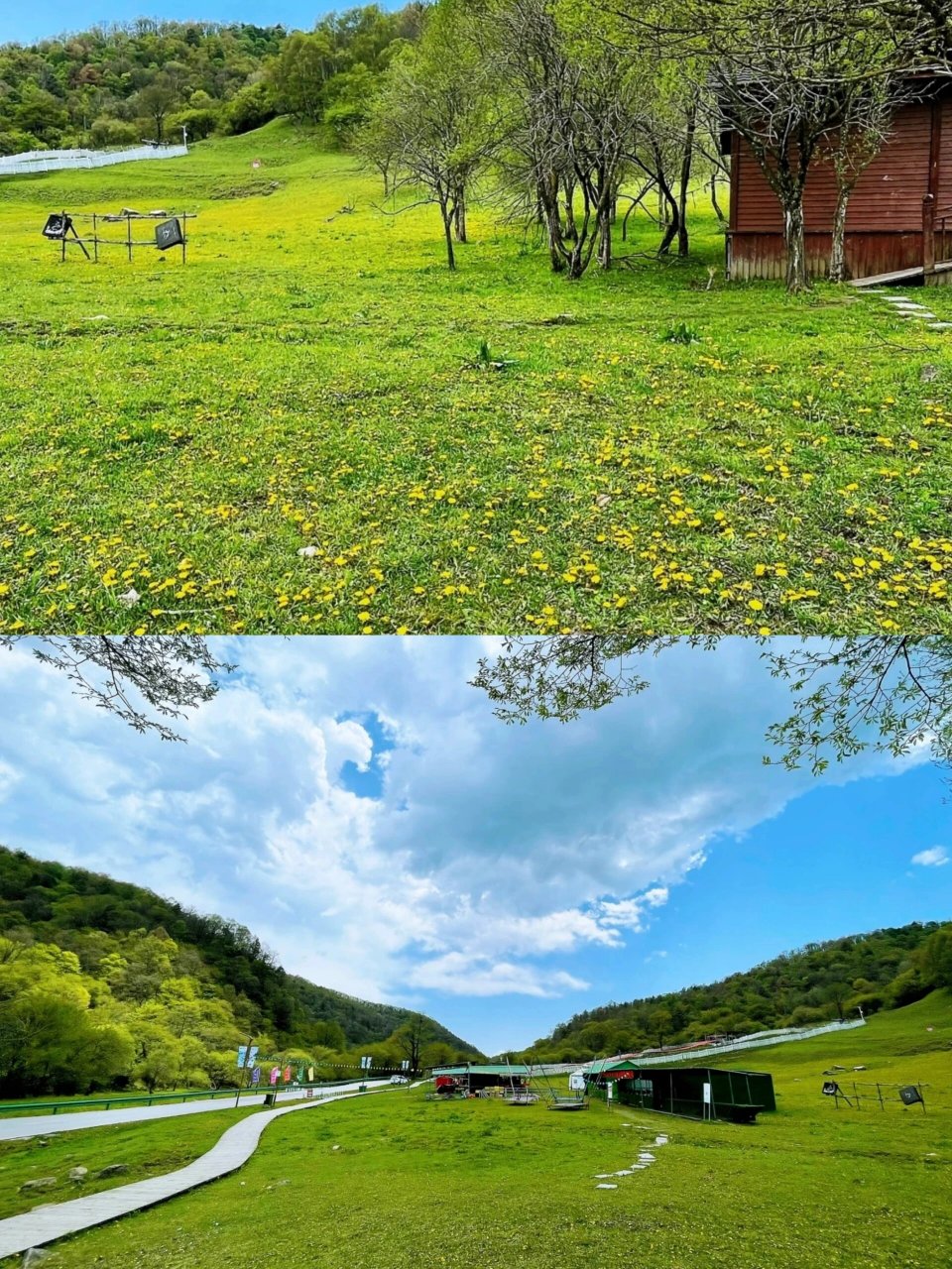 宝鸡大水川 九龙山/夏日清凉避暑好地方 "天苍苍,野茫茫,风吹草低见