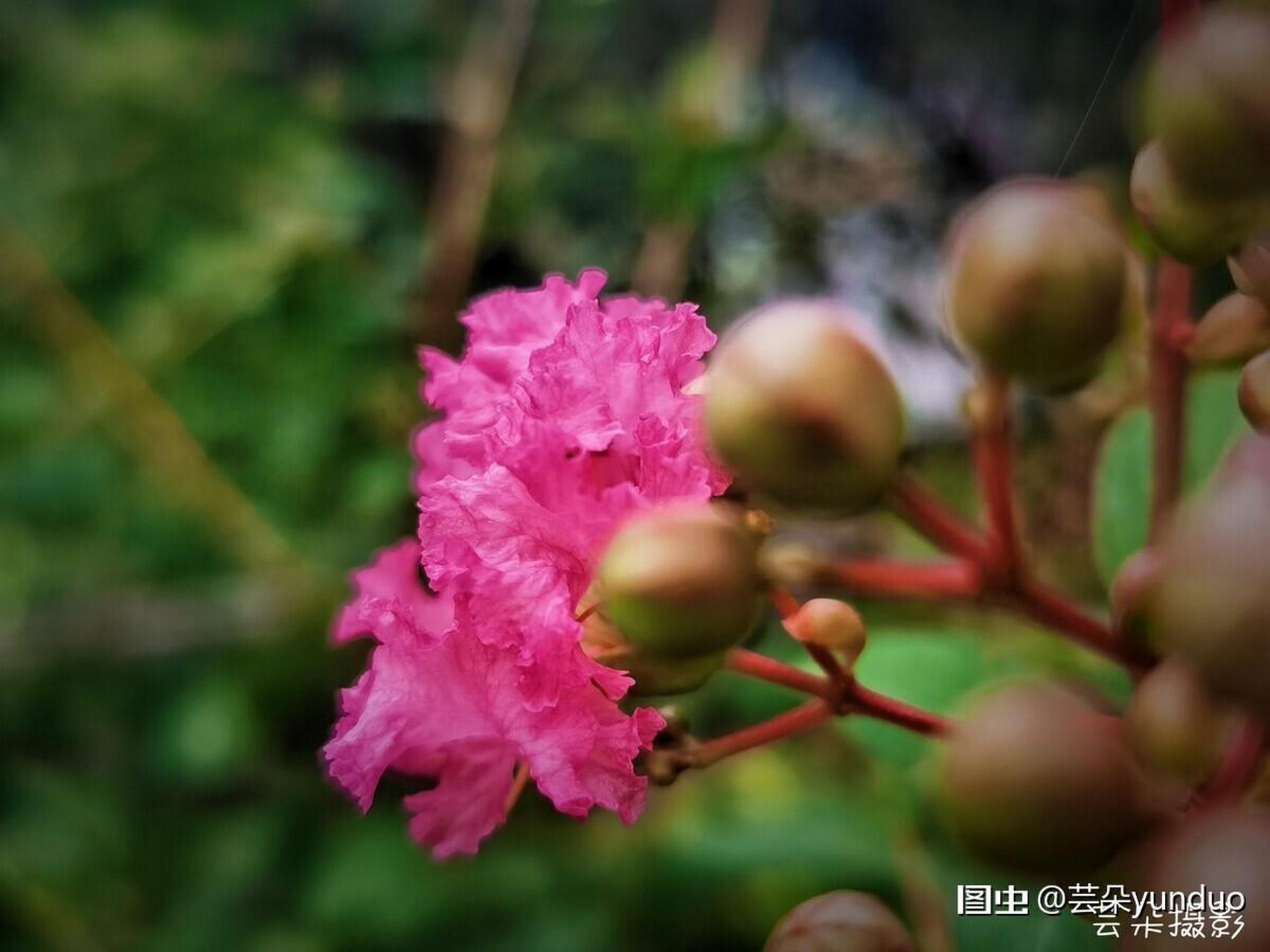 我欣赏自己饱满的精神状态没有同伴,一人行走在山里,享受着幽静清新的