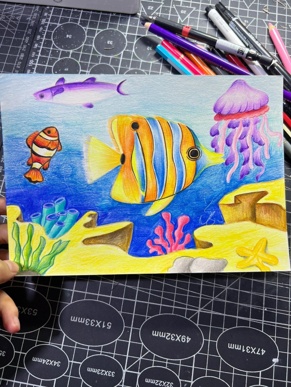 彩铅海底世界教程 零基础彩铅海底世界教程来啦