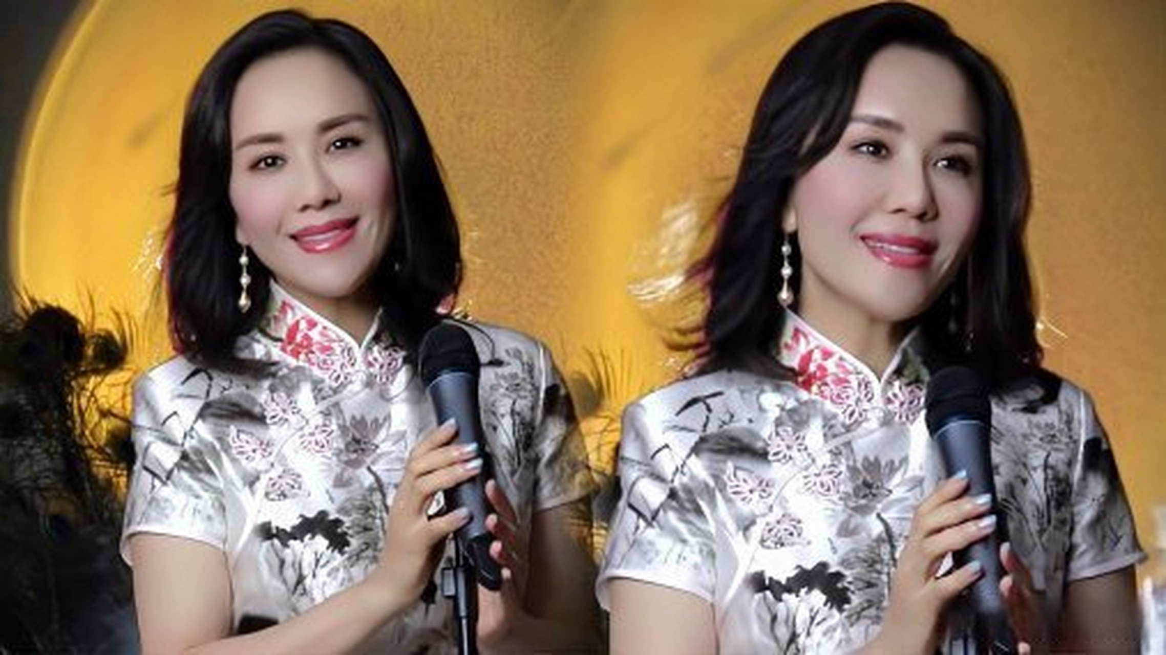 《歌唱家王莹演唱歌曲《明月几时有》人美歌甜,百听不厌》