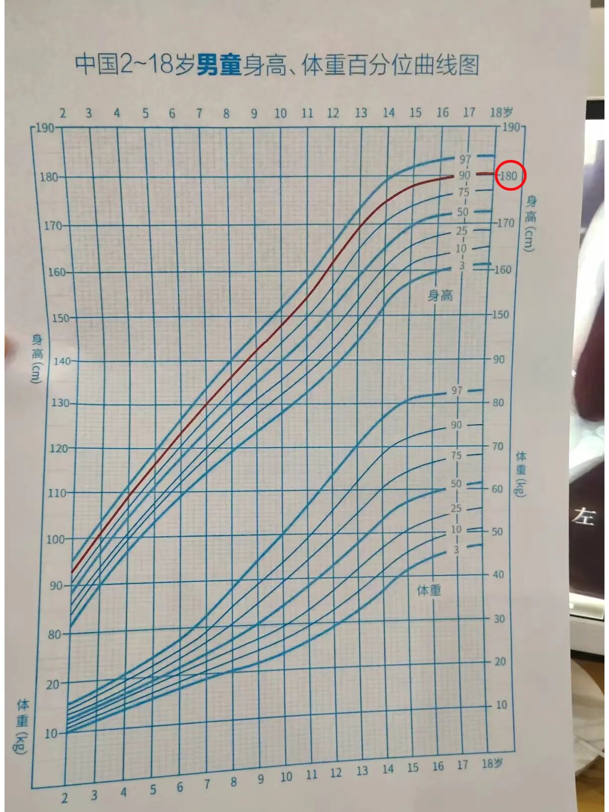 身高曲线男孩图片