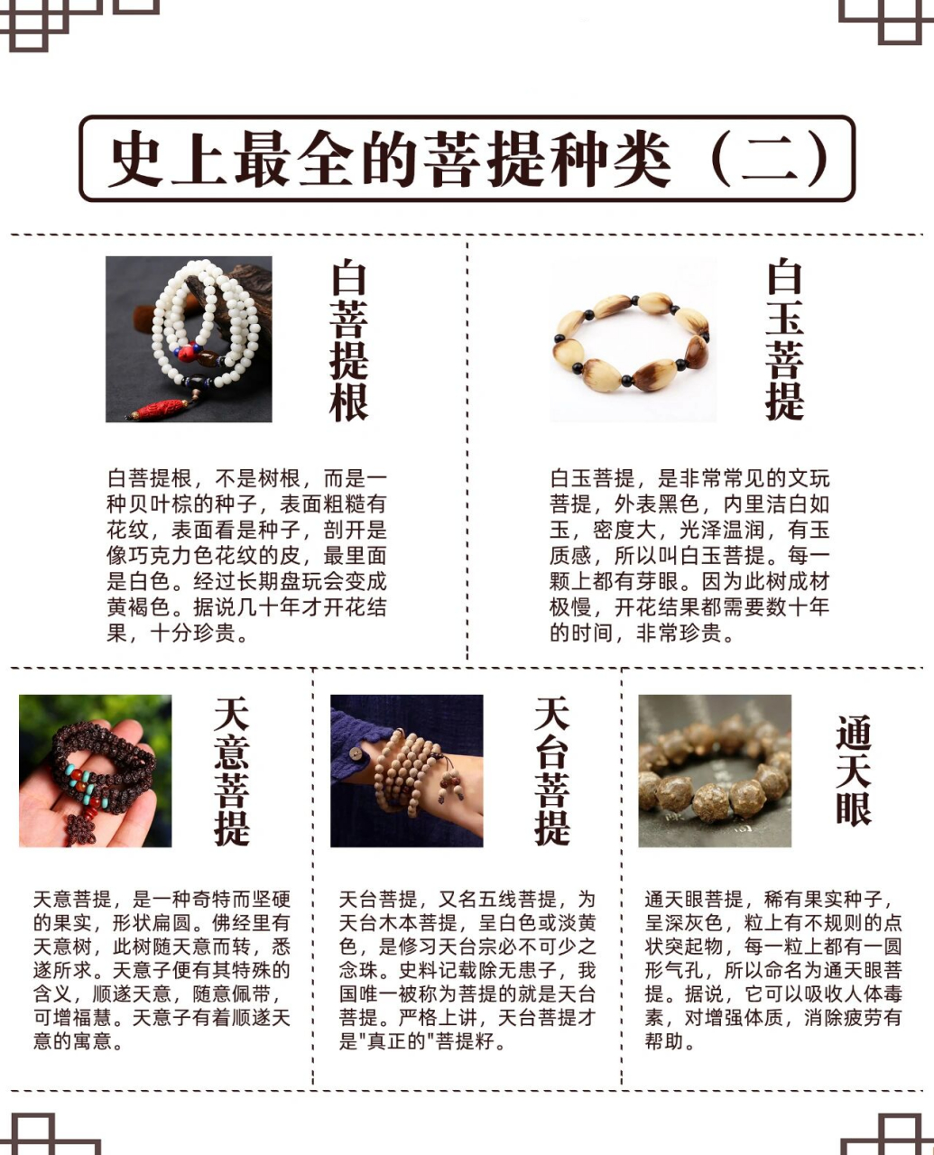 史上最全的菩提种类大全99 97在文玩圈,菩提种类越来越多,但凡一