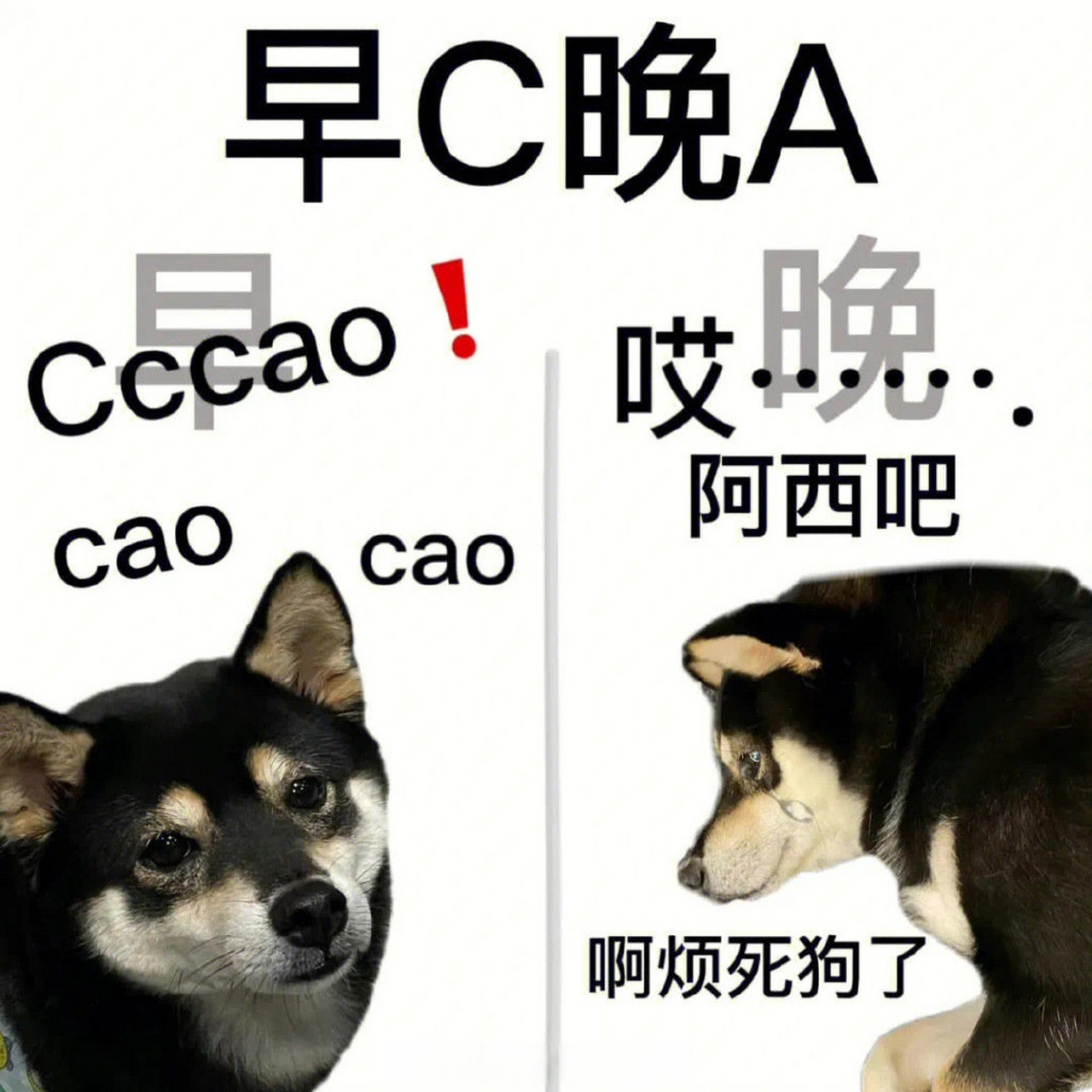 原神角色性别梗图,胡桃:指定有你好果汁吃