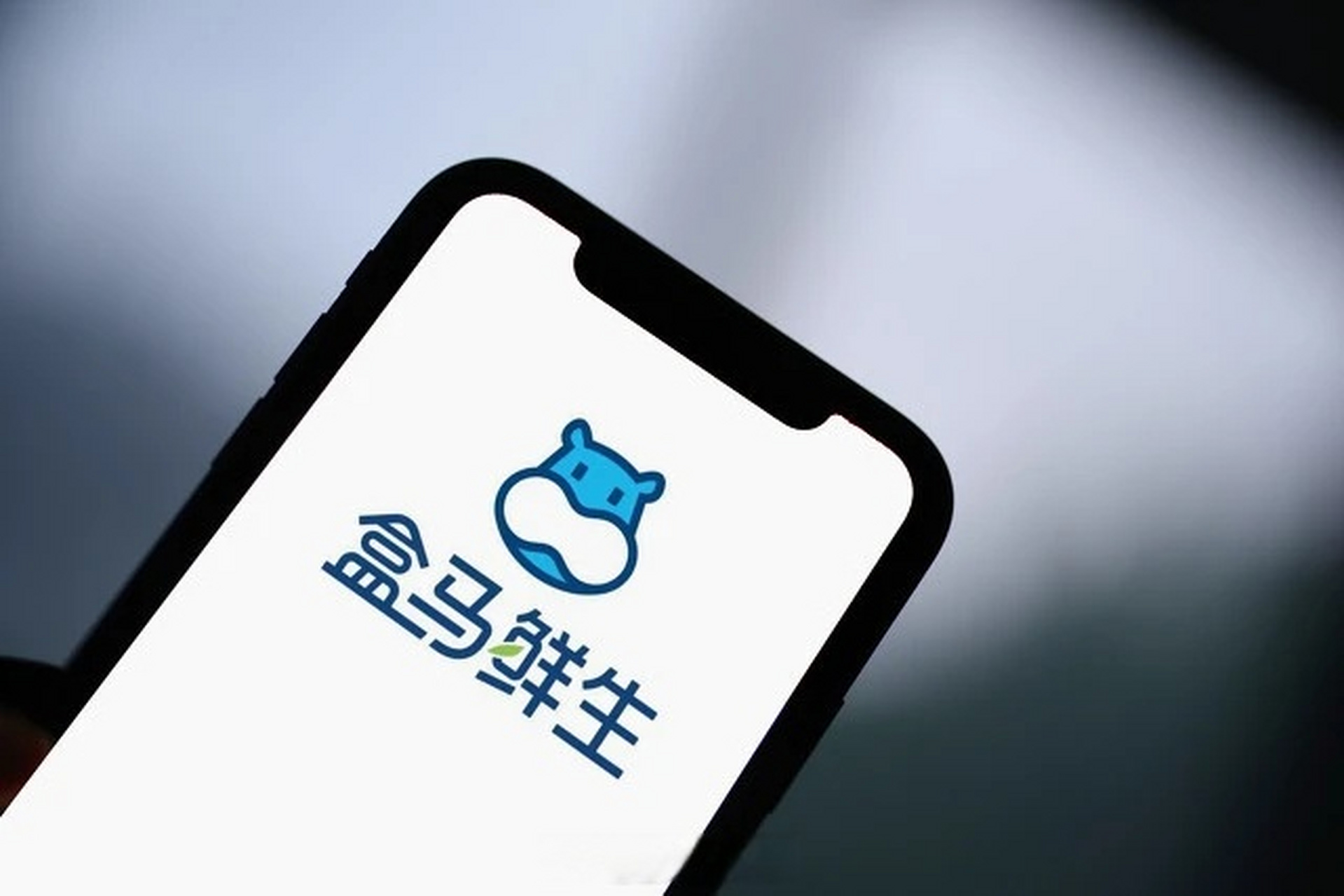 【盒马成立可持续发展部】盒马宣布正式成立可持续发展部,盒马联合