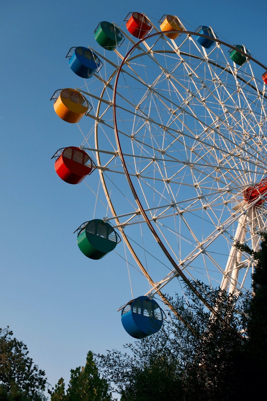 蒲园|滨州拍照去哪里—蒲湖公园 秋天落叶了 来蒲园拍一组秋日写真吧
