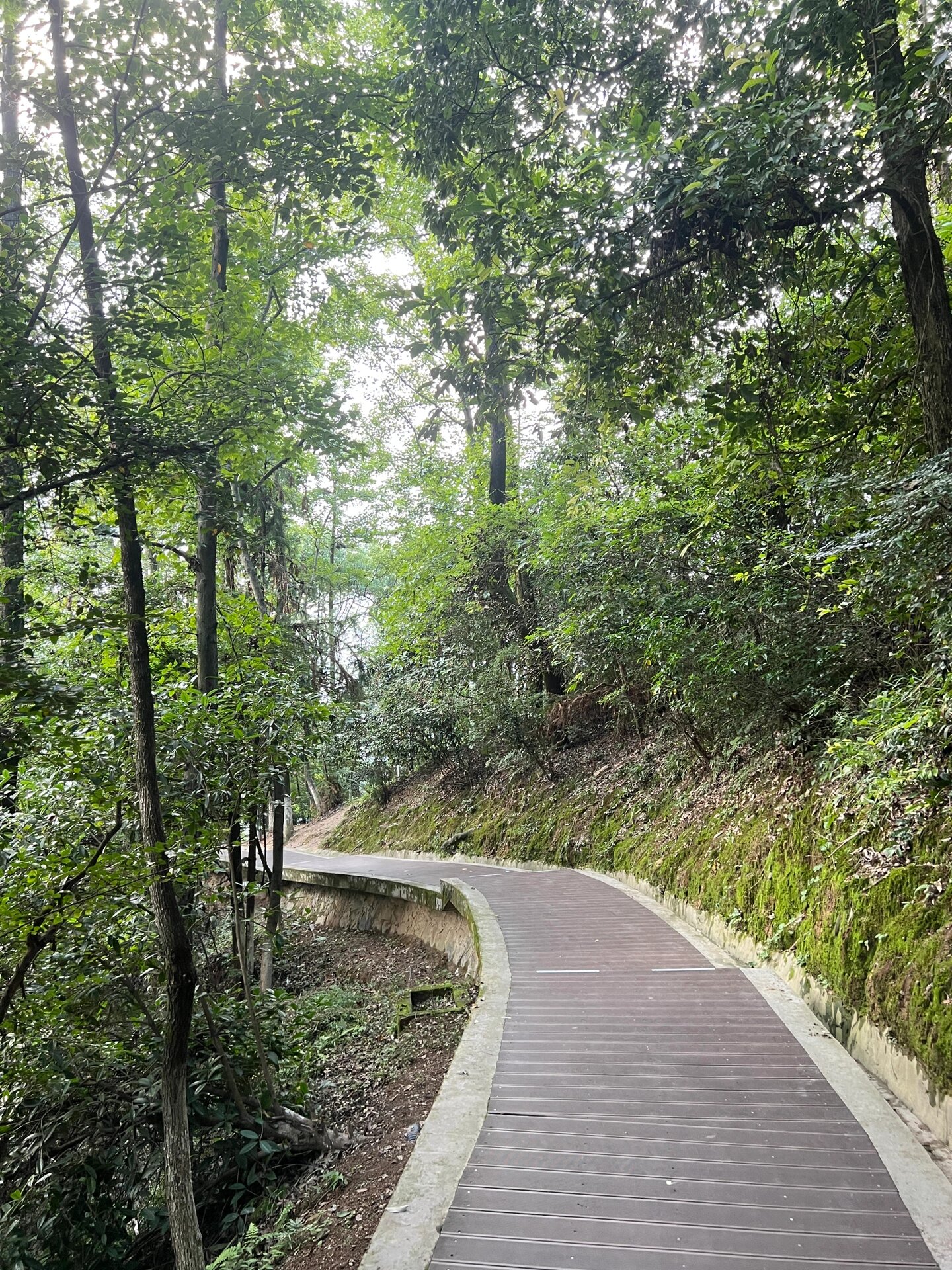 俯瞰整个上饶 云碧峰森林公园