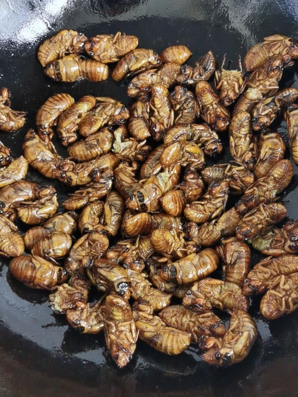 知了龟&蝉蜕功效 想起知了龟,早市买起来,才知道入伏后就没有知了龟了