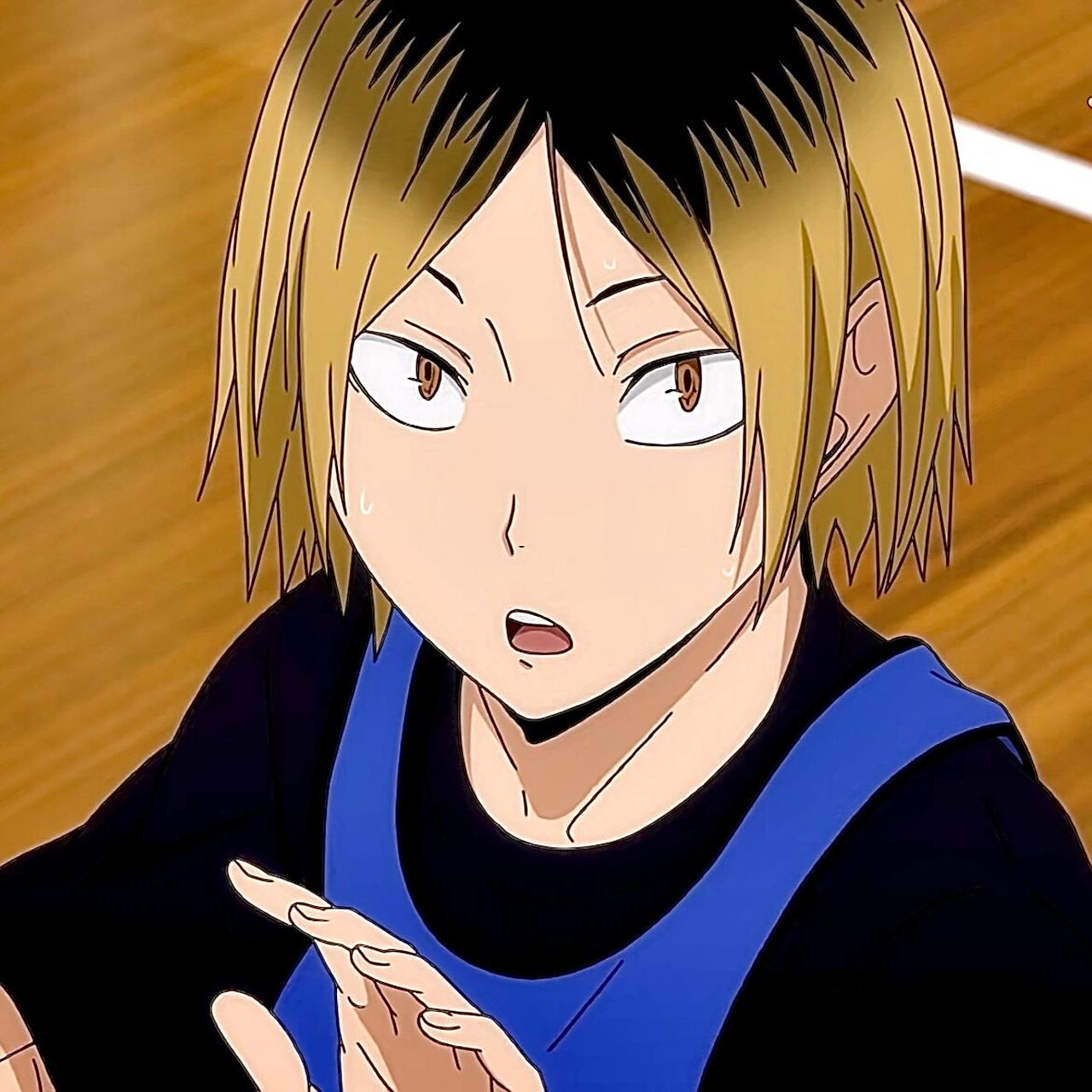 排球少年|孤爪研磨93 一组新鲜的猫猫头像93 禁止二改搬运 自用