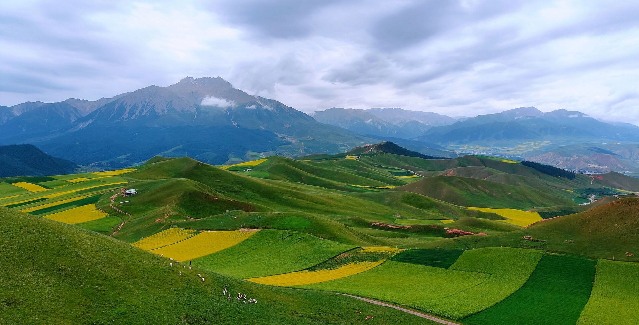 青海祁连绝美小众免费景点 青海祁连,卓尔山后山,多数人不知道