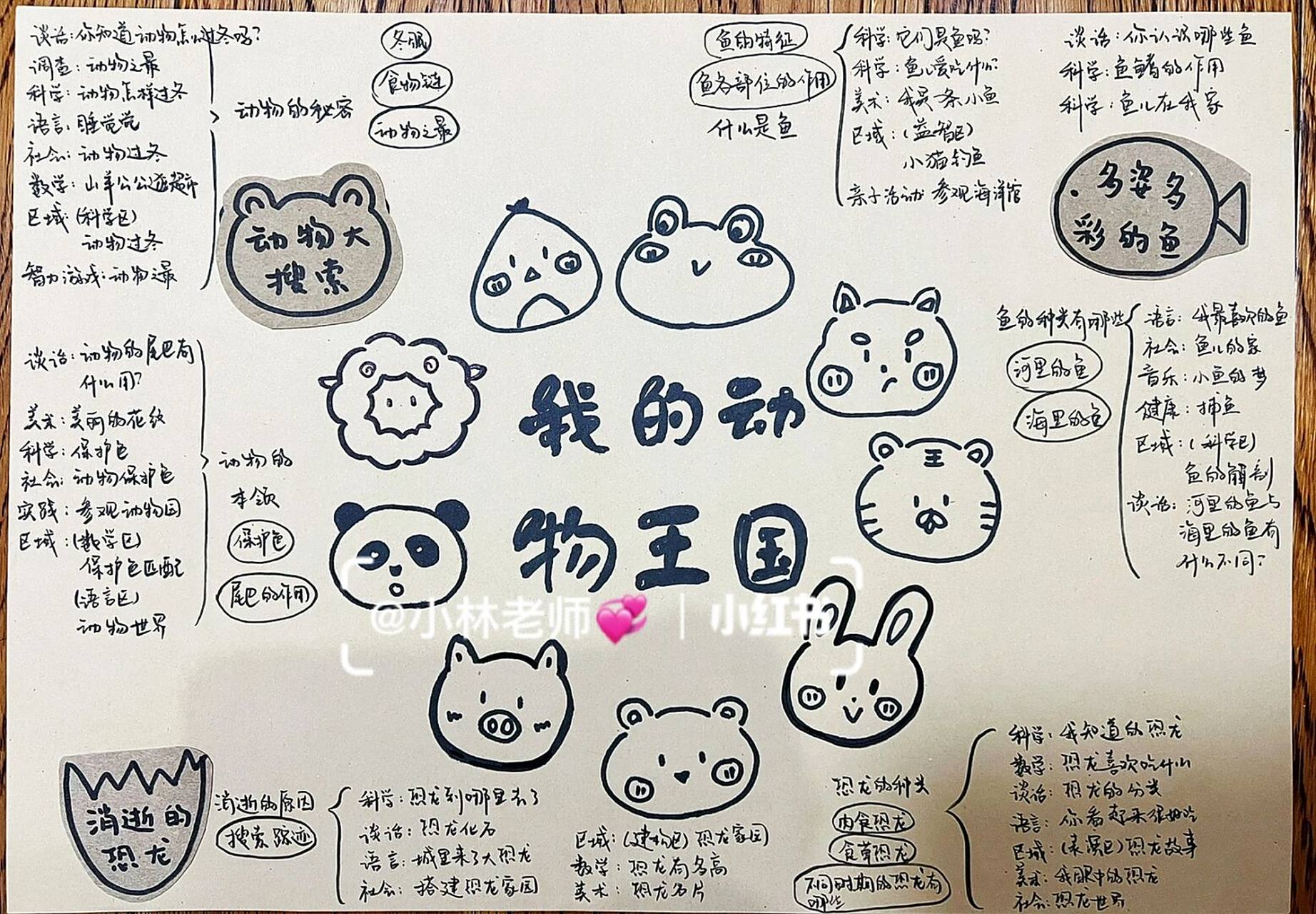 手绘版:我的动物王国主题脉络.大班.