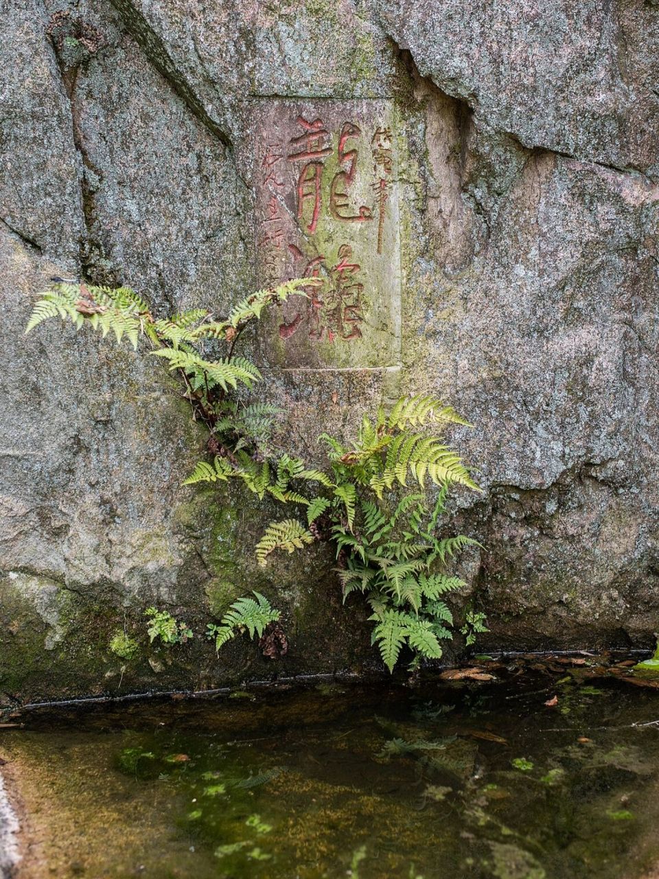 每周一山|庐江冶父山(内有缠人小猫) 99冶父山国家森林公园,距离