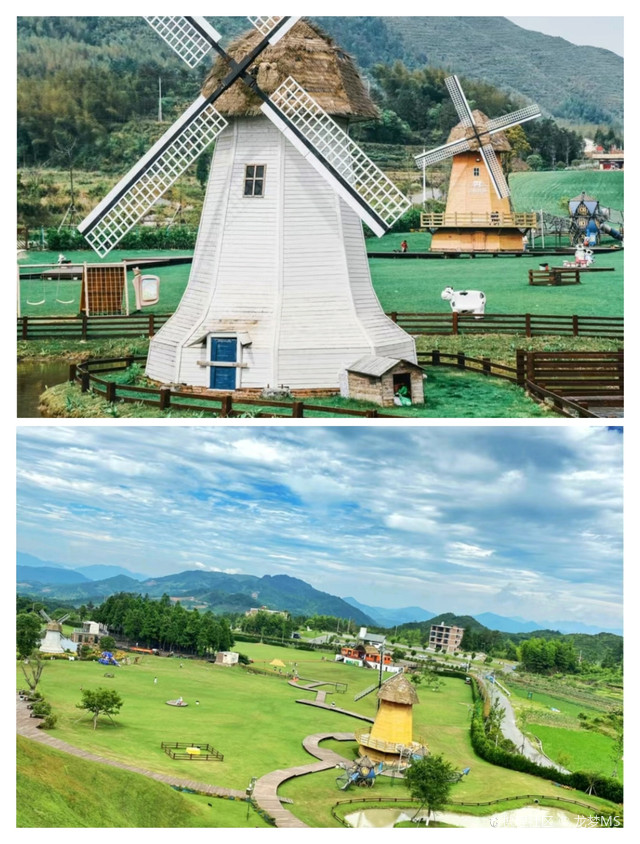 泰顺云岚牧场风景区图片