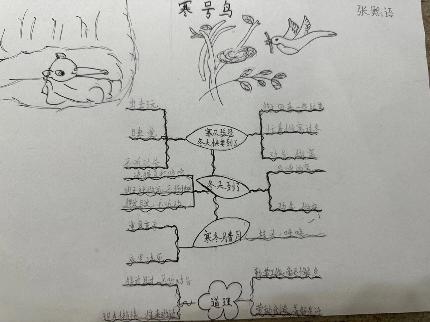 寒号鸟思维导图二年级图片