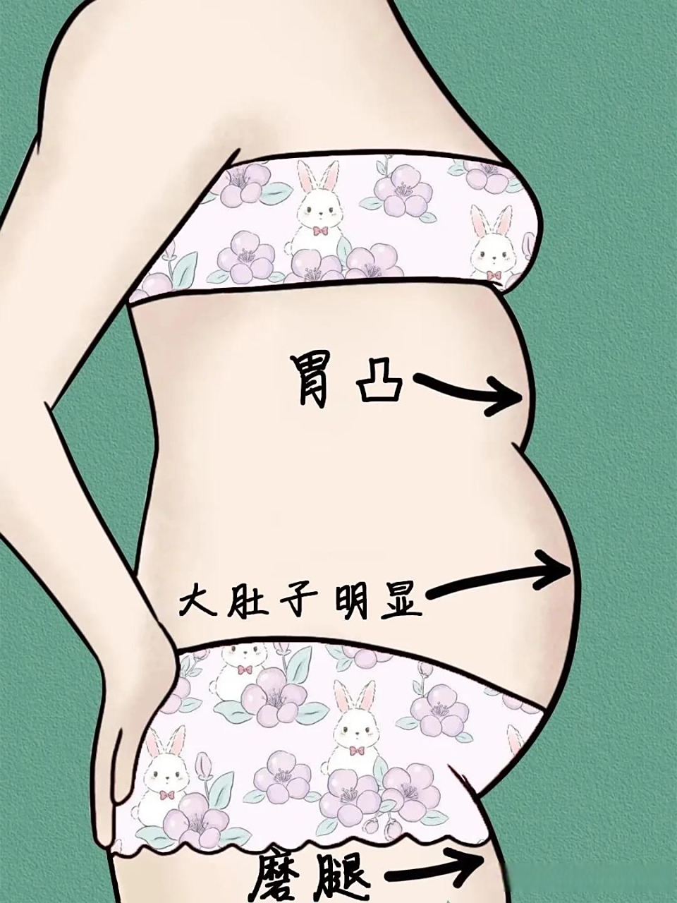 吃点东西就肚子大,胃凸胃胀气,你是不是也这样?