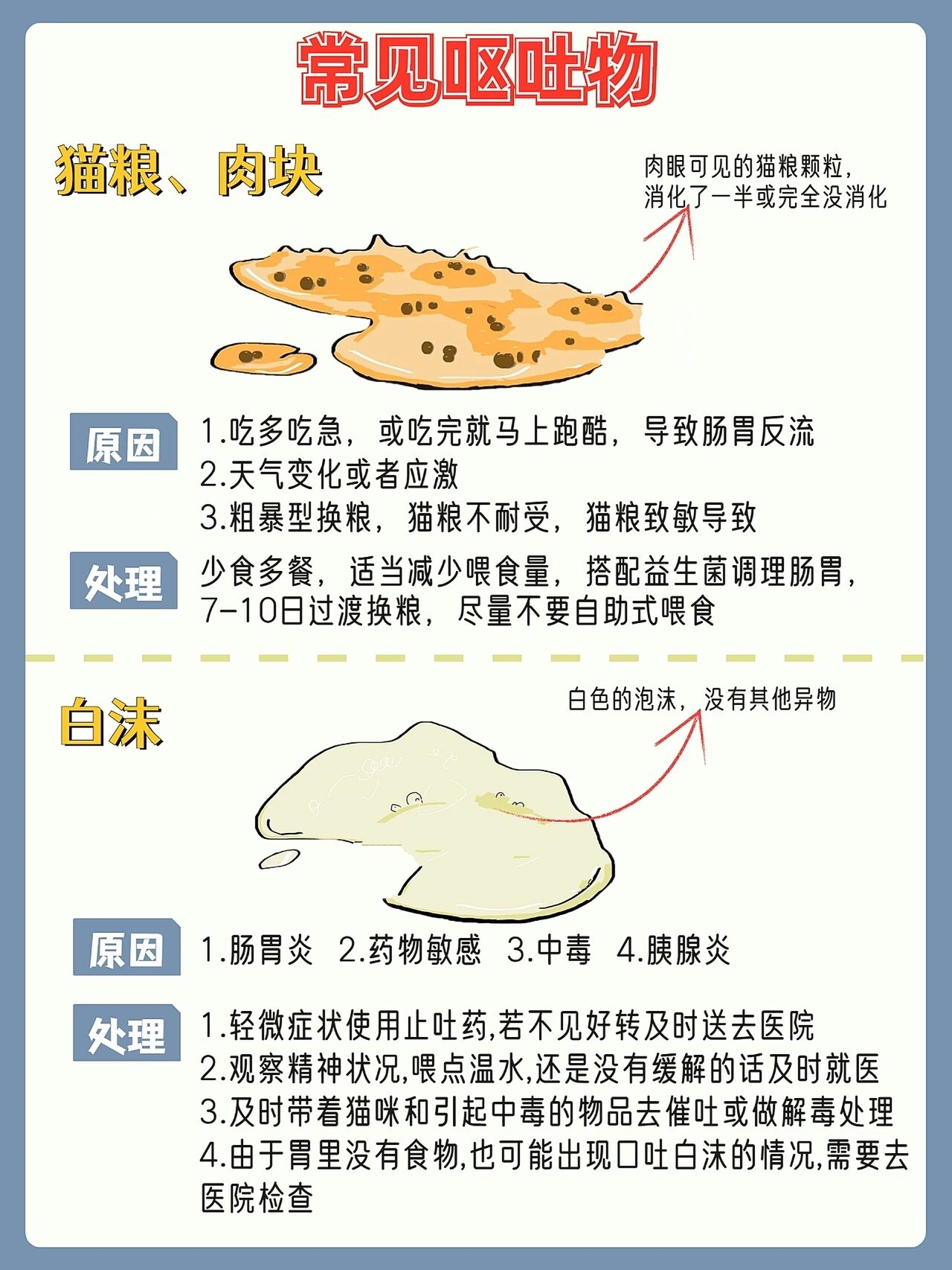 猫呕吐物图片分析图片