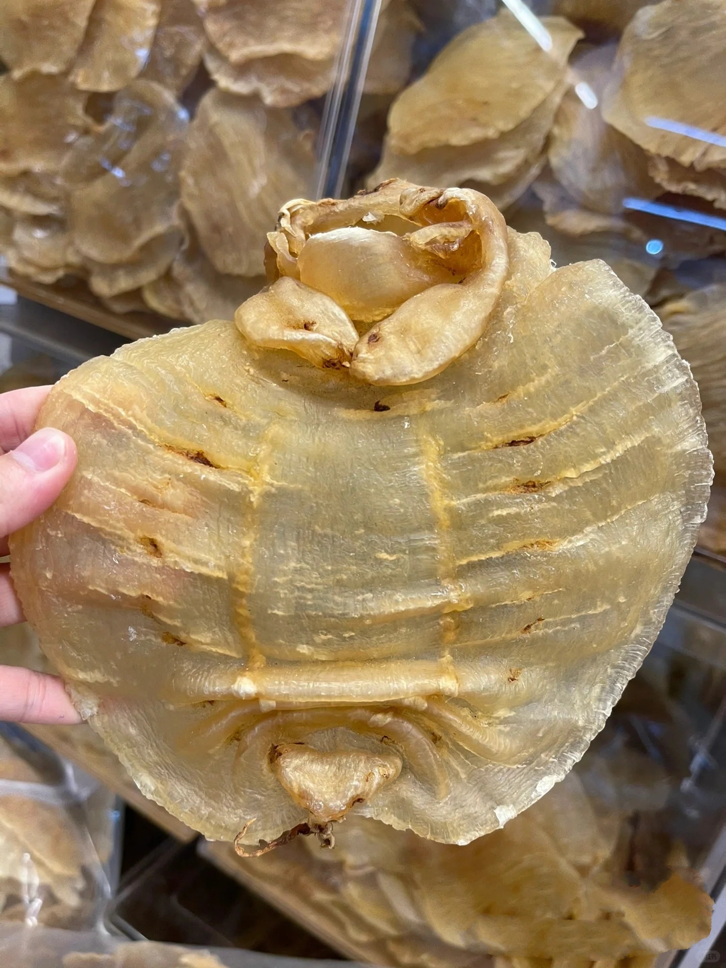 3两～3两半金兰赤嘴#老胶#鱼胶#花胶 野生金兰赤嘴
