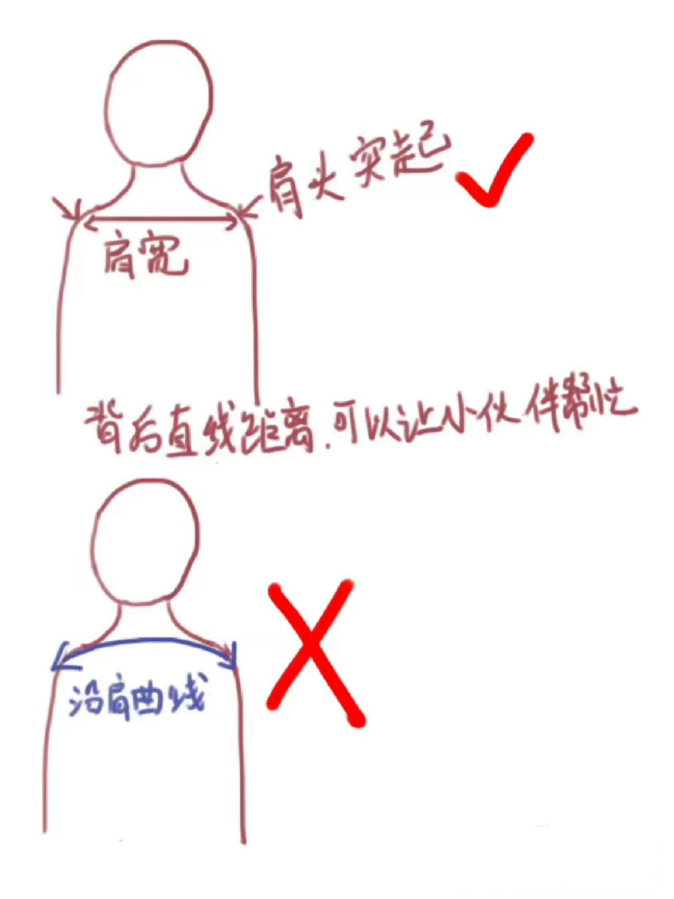 如何正确测量肩宽 如图所示,网购衣服的时候特别是选择一些衬衣西装的