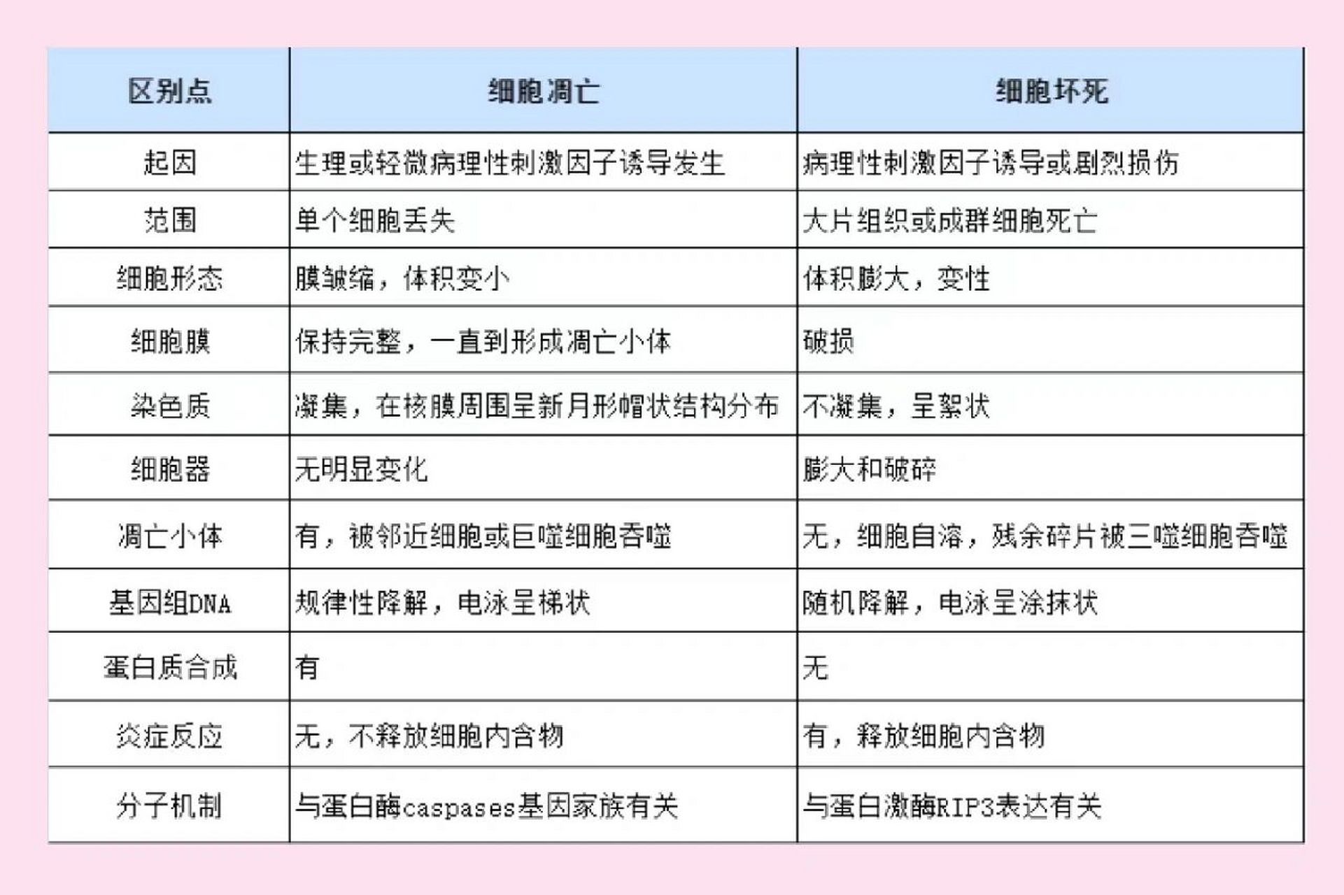 如何区分细胞凋亡和坏死 细胞凋亡的形态特征与细胞坏死性死亡的形态