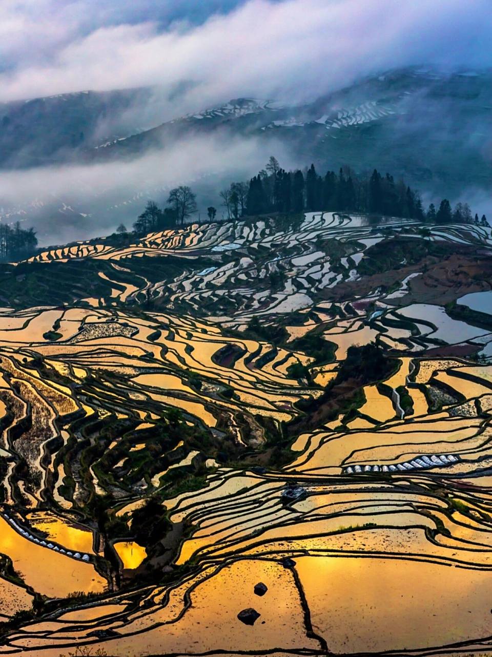 929292云南哈尼元阳梯田74 是哈尼族人民世世代代留下的杰作