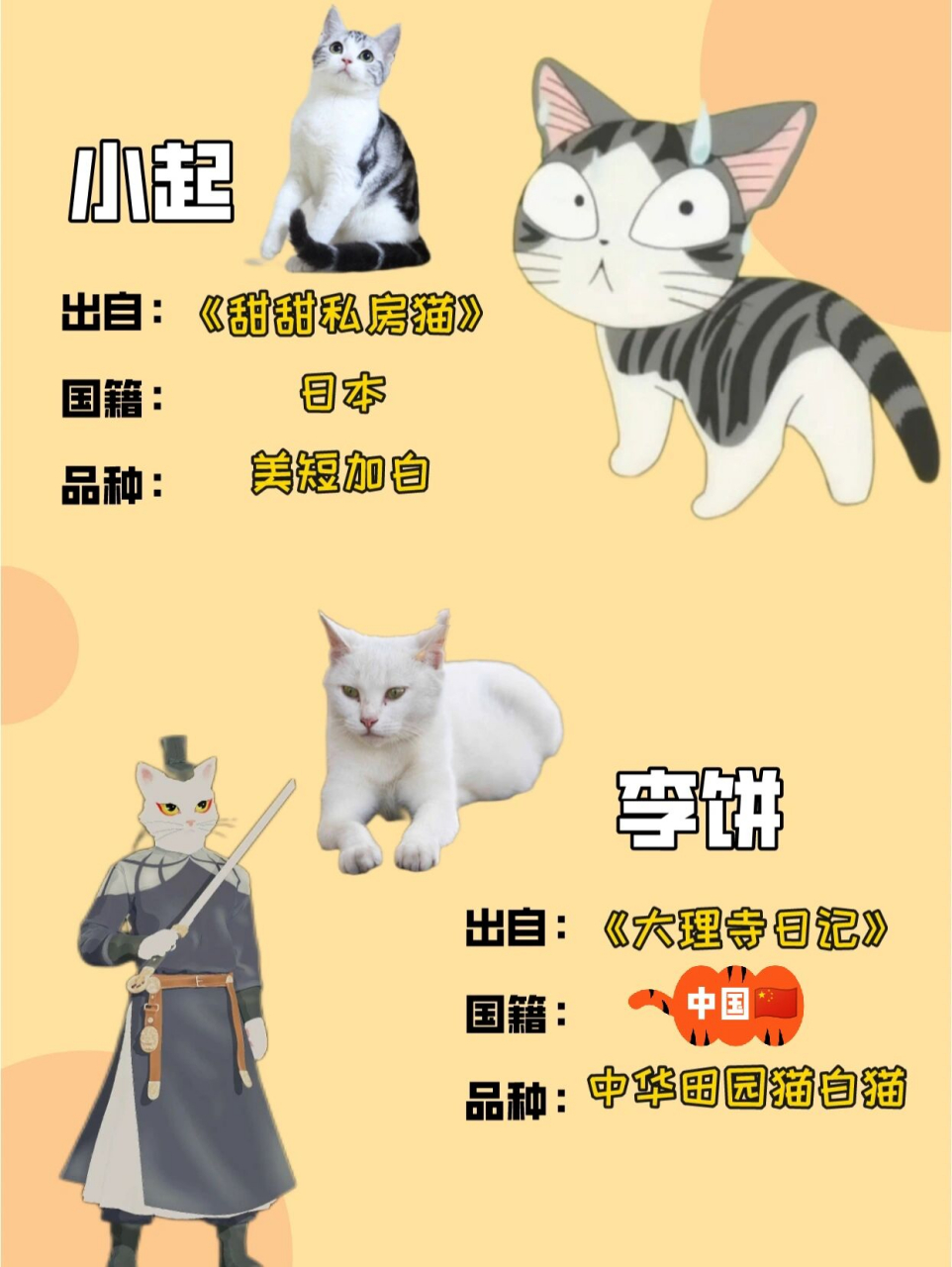 原来黑猫警长不是黑猫|动画片里的猫咪原型 1,猫咪老师 源自:《夏目