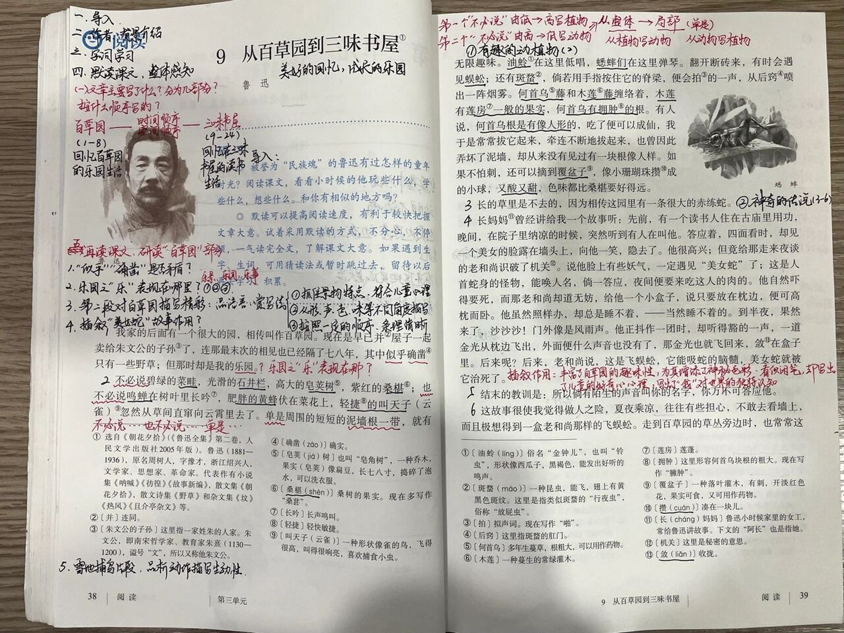 七上第三单元《从百草园到三味书屋》 初识鲁迅先生必读的第一篇回忆
