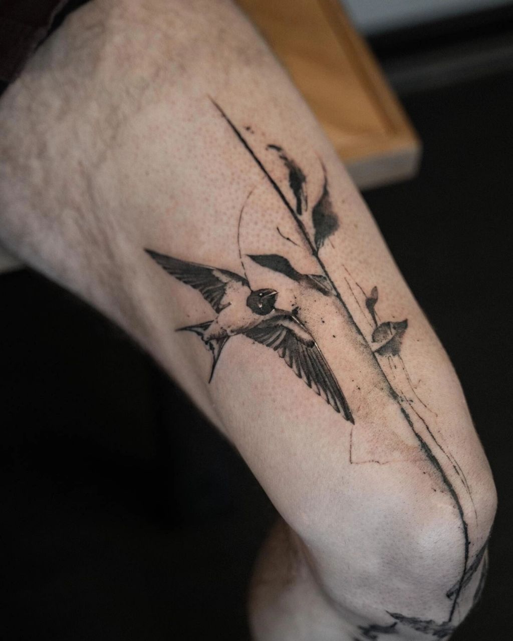 纹身素材:燕子     纹身素材:燕子.