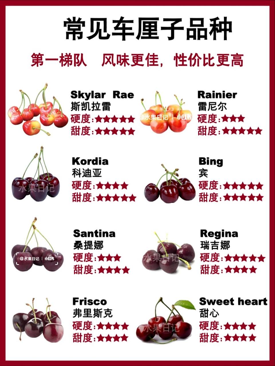 车厘子的品种,规格,标识等信息 车厘子这么多个品种,究竟选哪个?