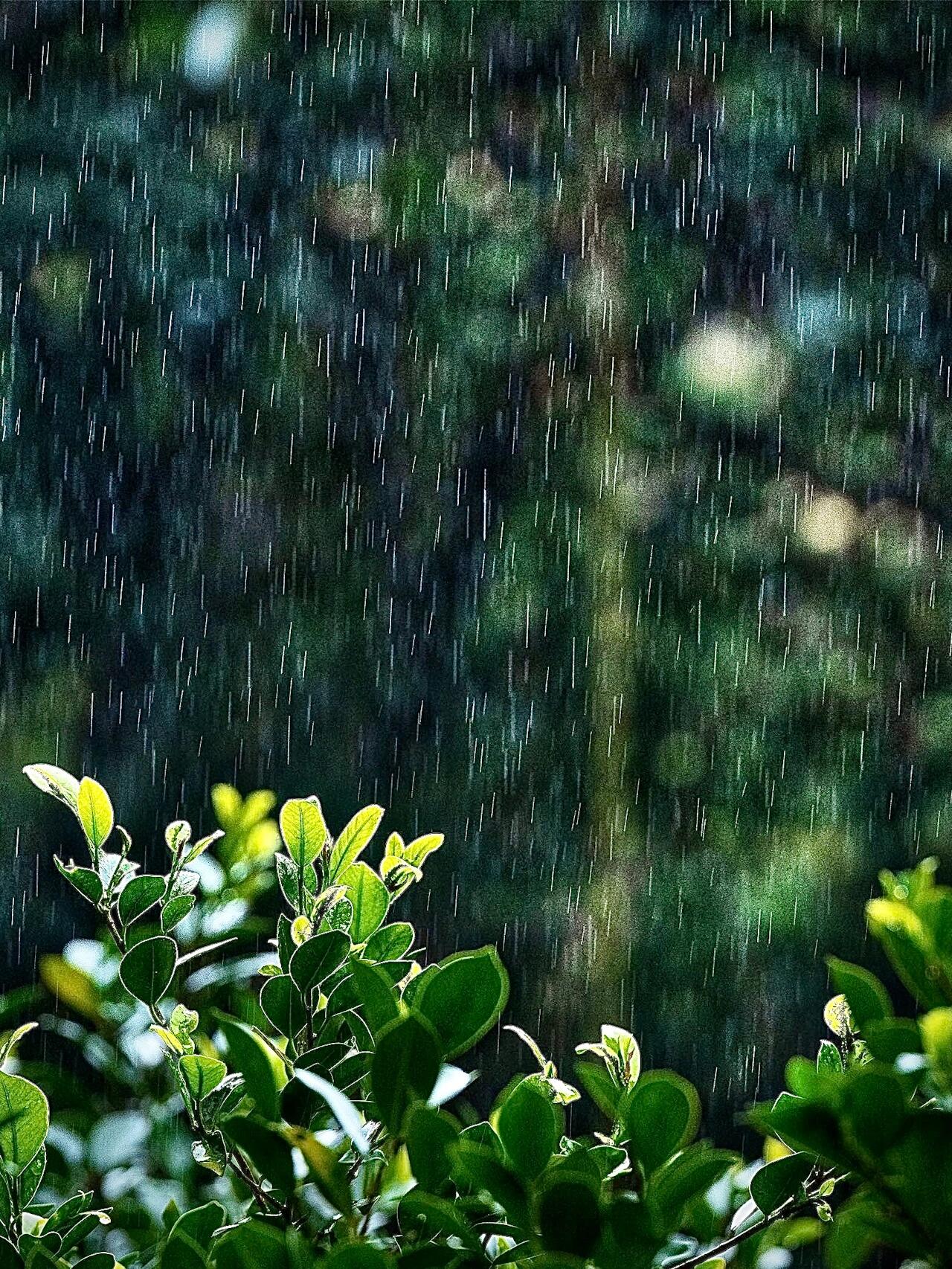 怎样拍下丝丝春雨