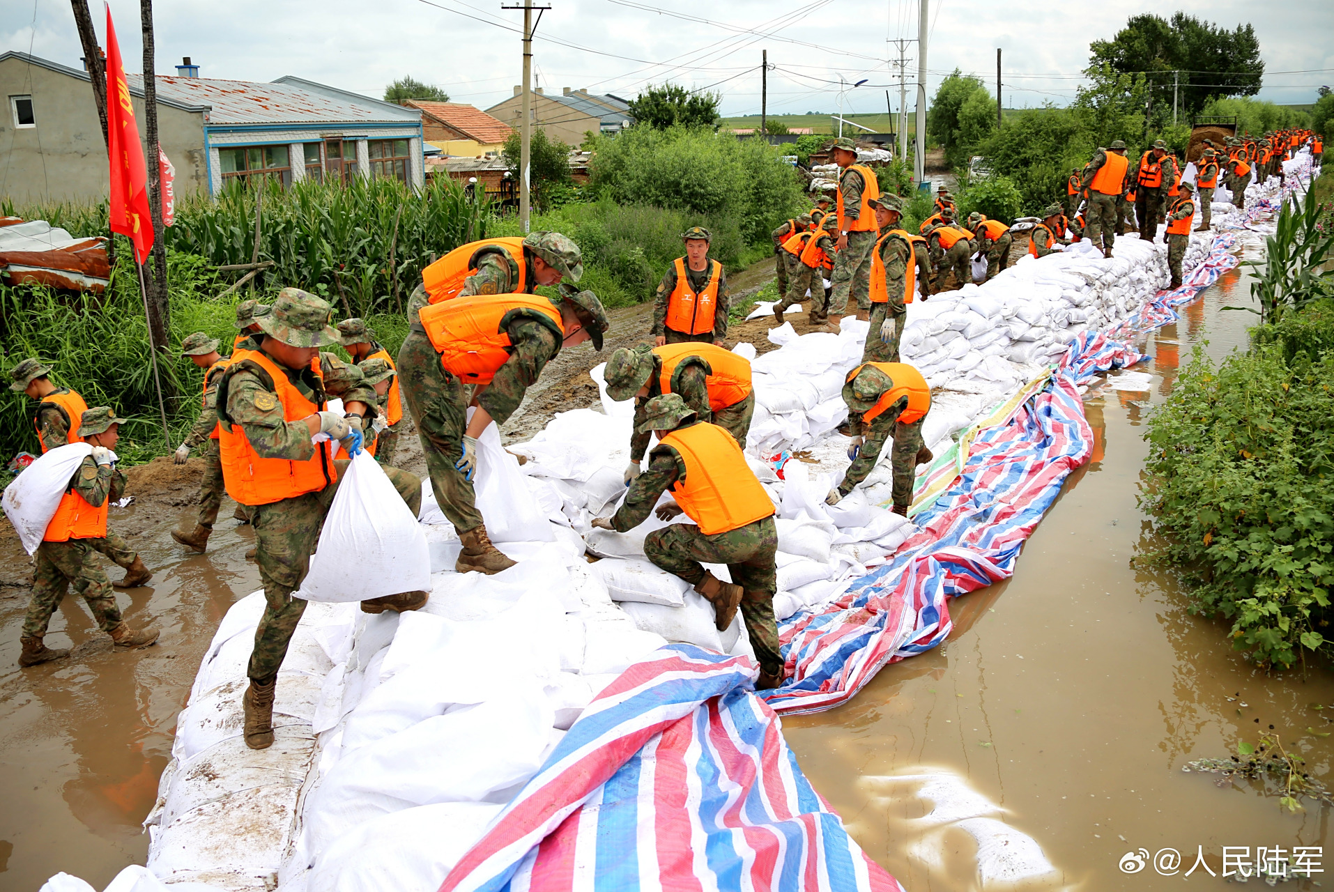 抗洪抢险救灾##人民军队在行动# 8月8日,第78集团军某旅在哈尔滨市