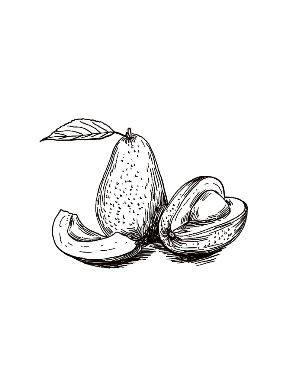 简笔画线稿‖水果主题黑白手绘插画②  夏天怎么能少得了水果,正在