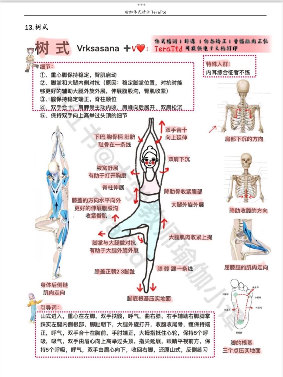 瑜伽体式|瑜伽教培必学体式-树式,体式干货 #一起来瑜伽# #瑜伽日常