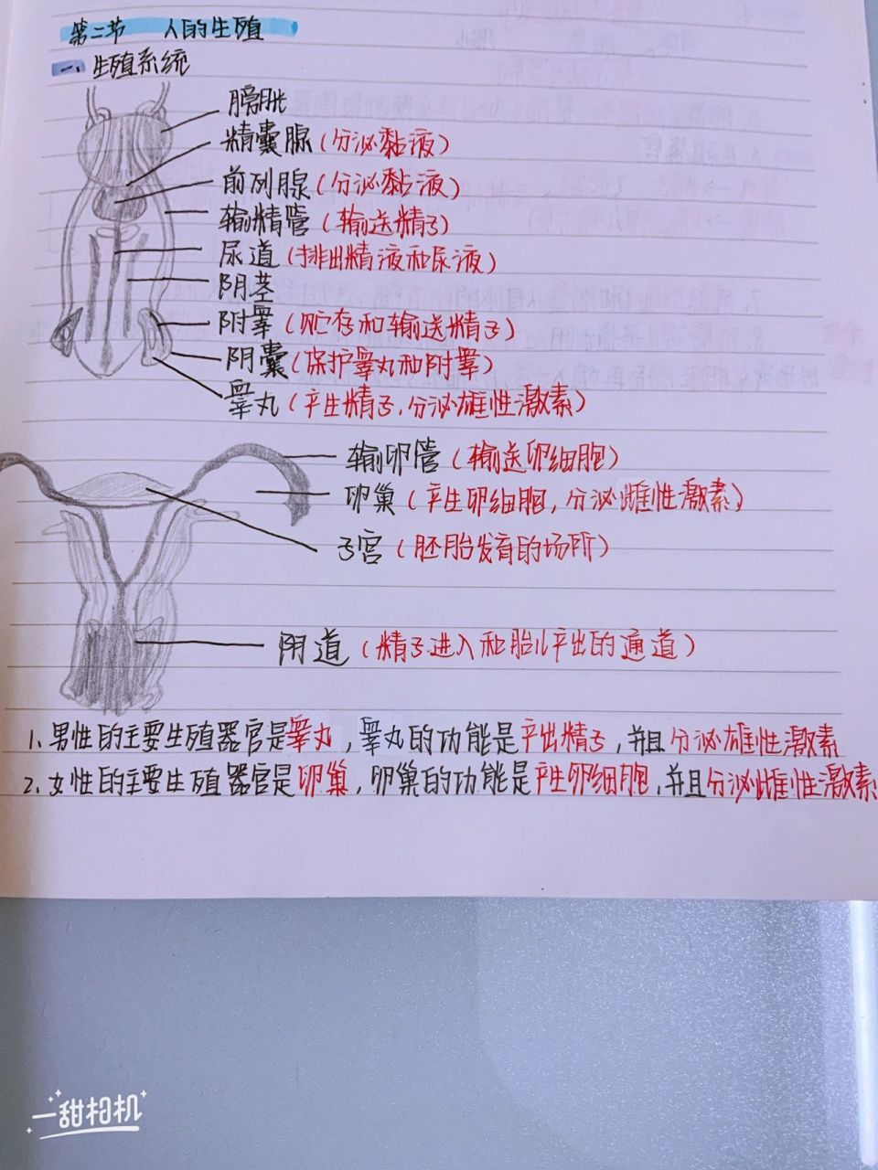 七下生物预习笔记之4.1.2 人的生殖92