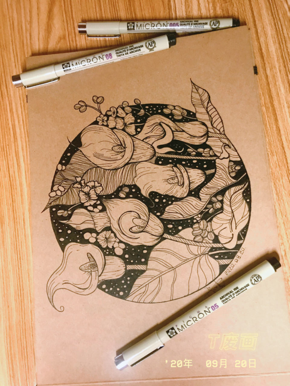 针管笔黑白装饰画临摹 马蹄莲 花步骤图分享 工具很简单:樱花针管笔