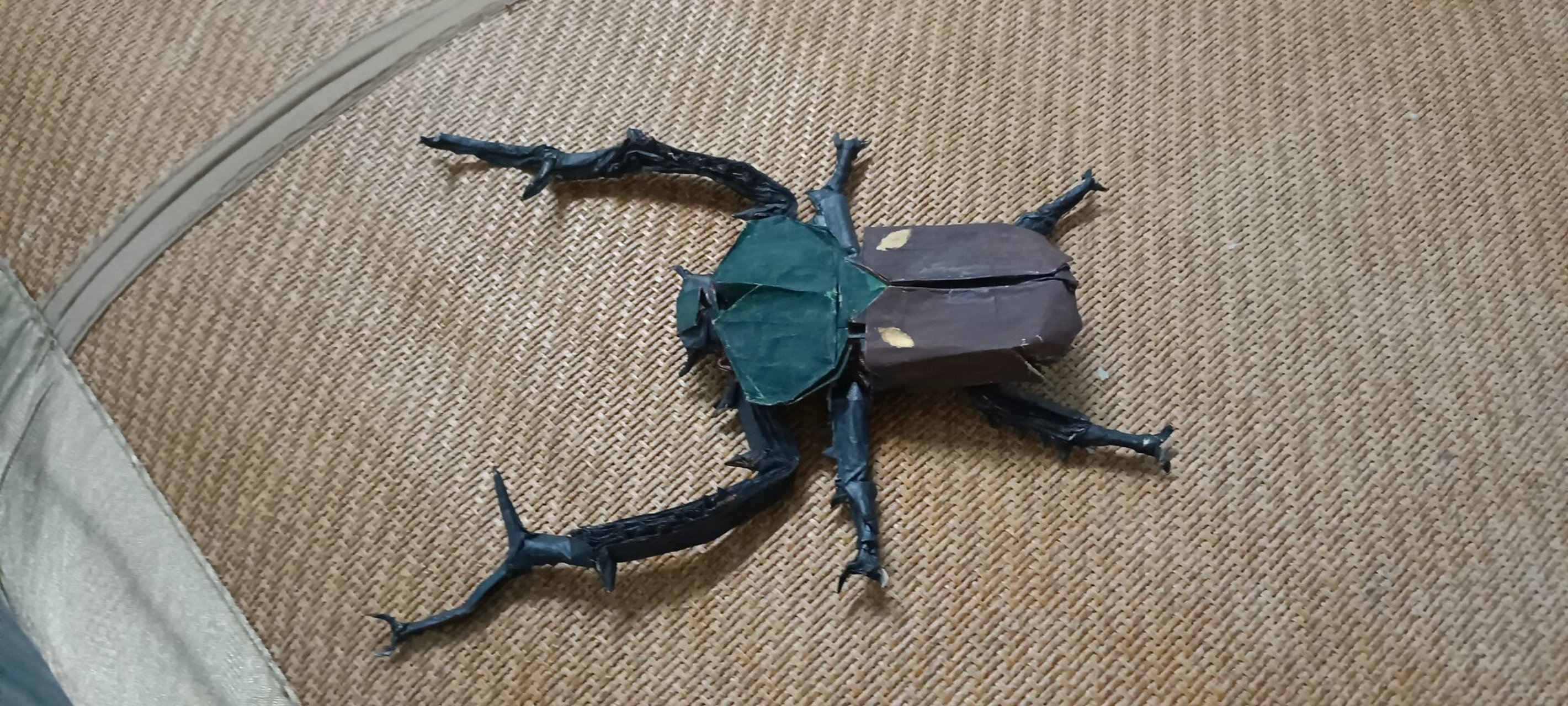 [折纸展示] 阳彩臂金龟 设计者:今井幸太 仿折:我 用纸:50×50cm薄