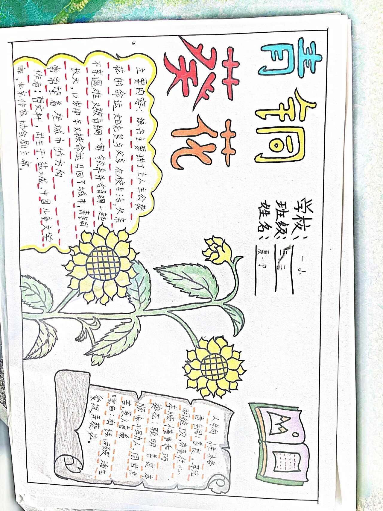 青铜葵花
