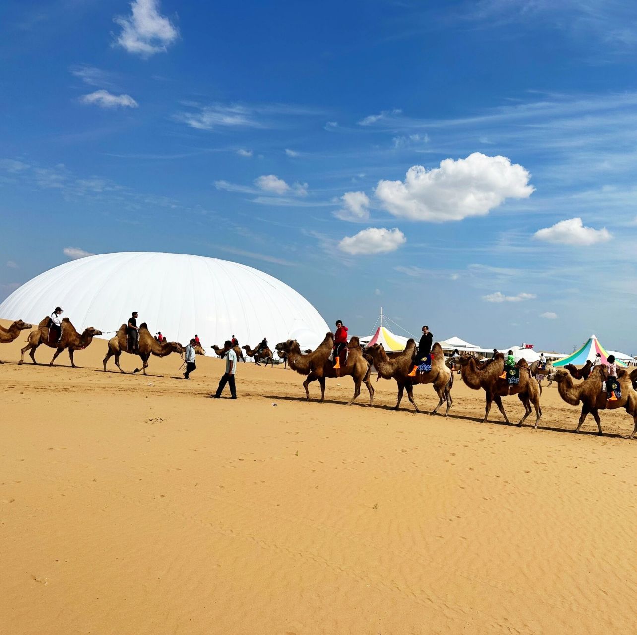 响沙湾 悦沙岛 仙沙岛 莲花酒店 天气预报20度,沙漠里下起了雨,冷得想
