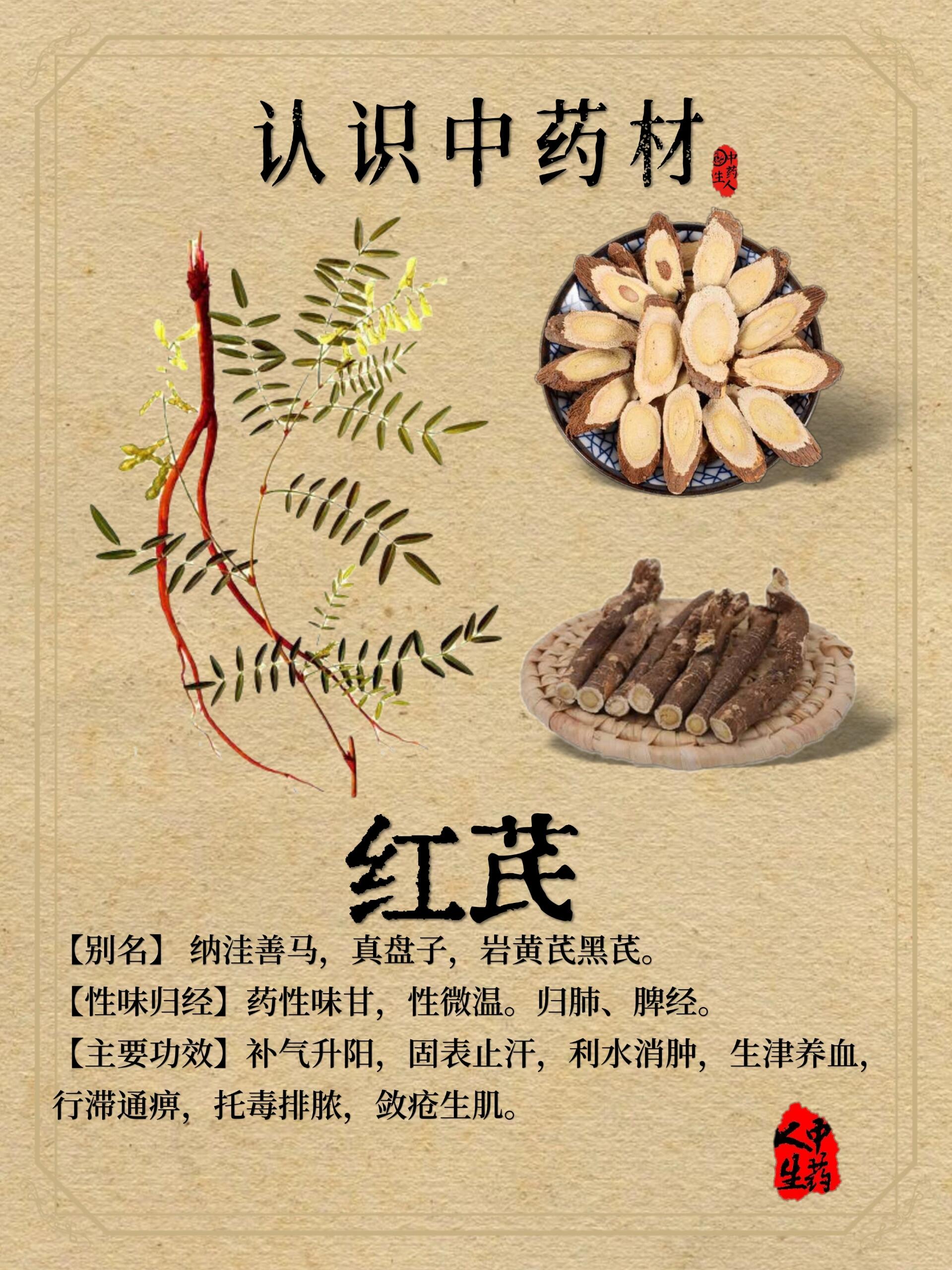 四大西北药材图片