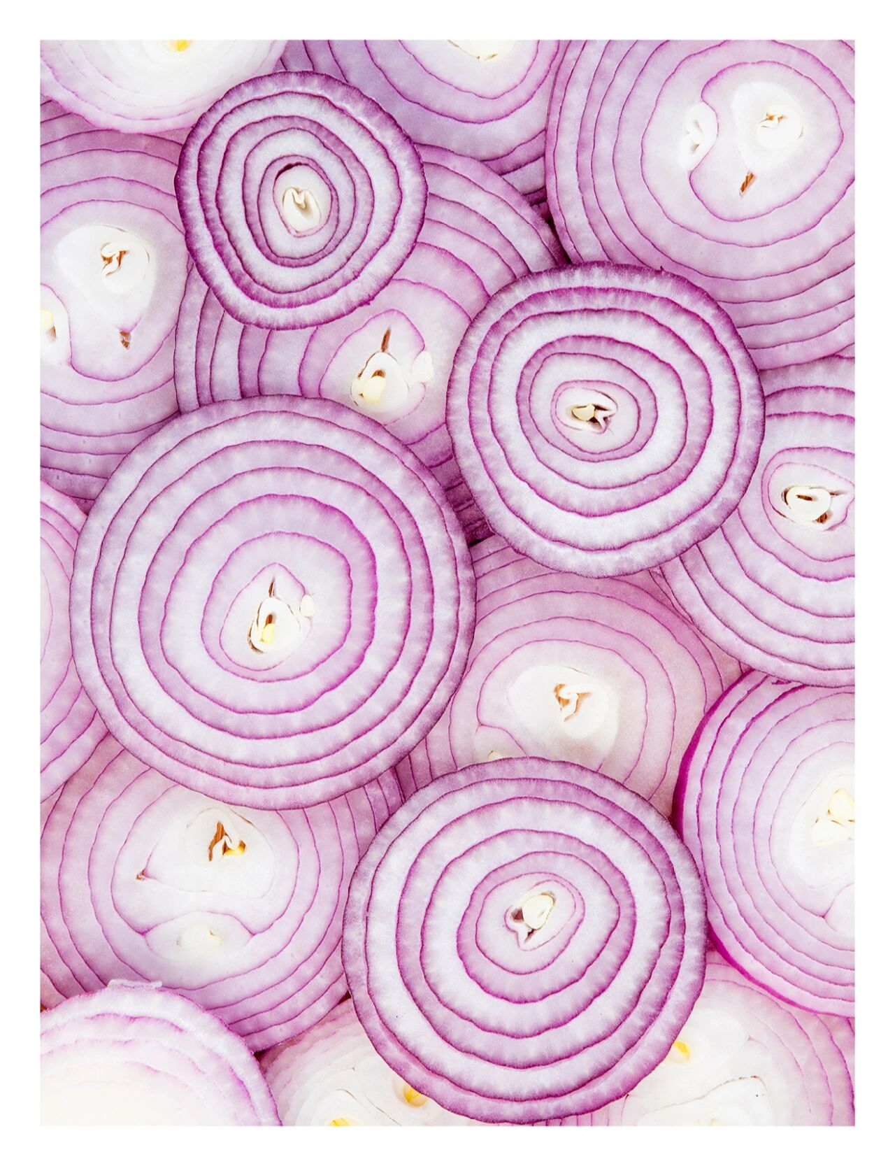 中景,特写) ①洋葱全景照片 ②中间切开的横切面照片 ③切片照片 ④