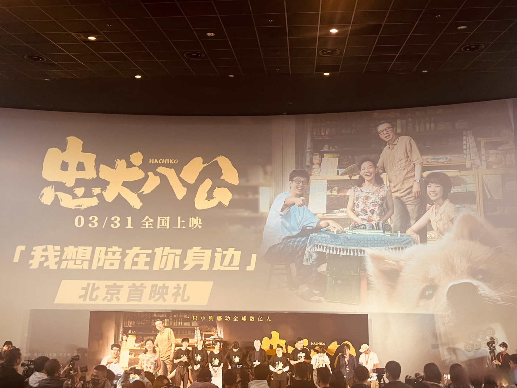 带好纸巾 去看 老白白举纲 #电影忠犬八公##一条plog告别三月