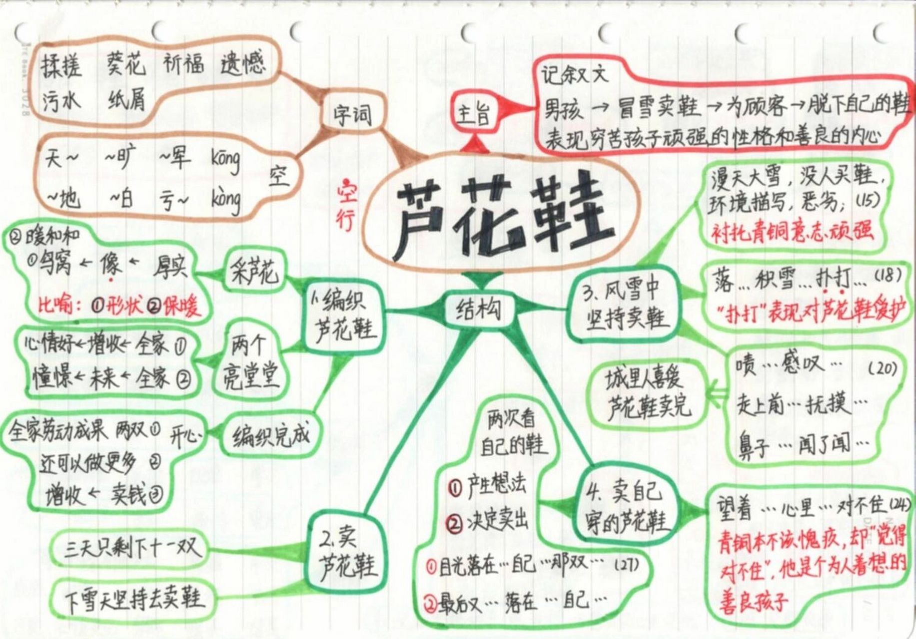 关于鞋的思维导图简单图片