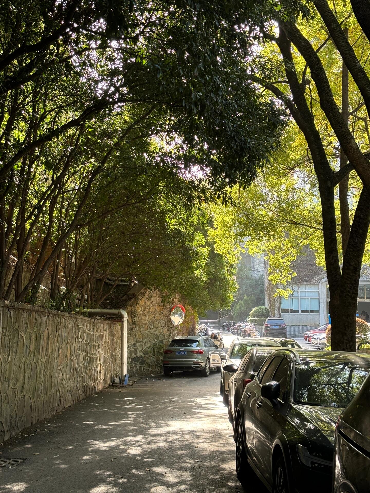 河海大学(西康路校区)