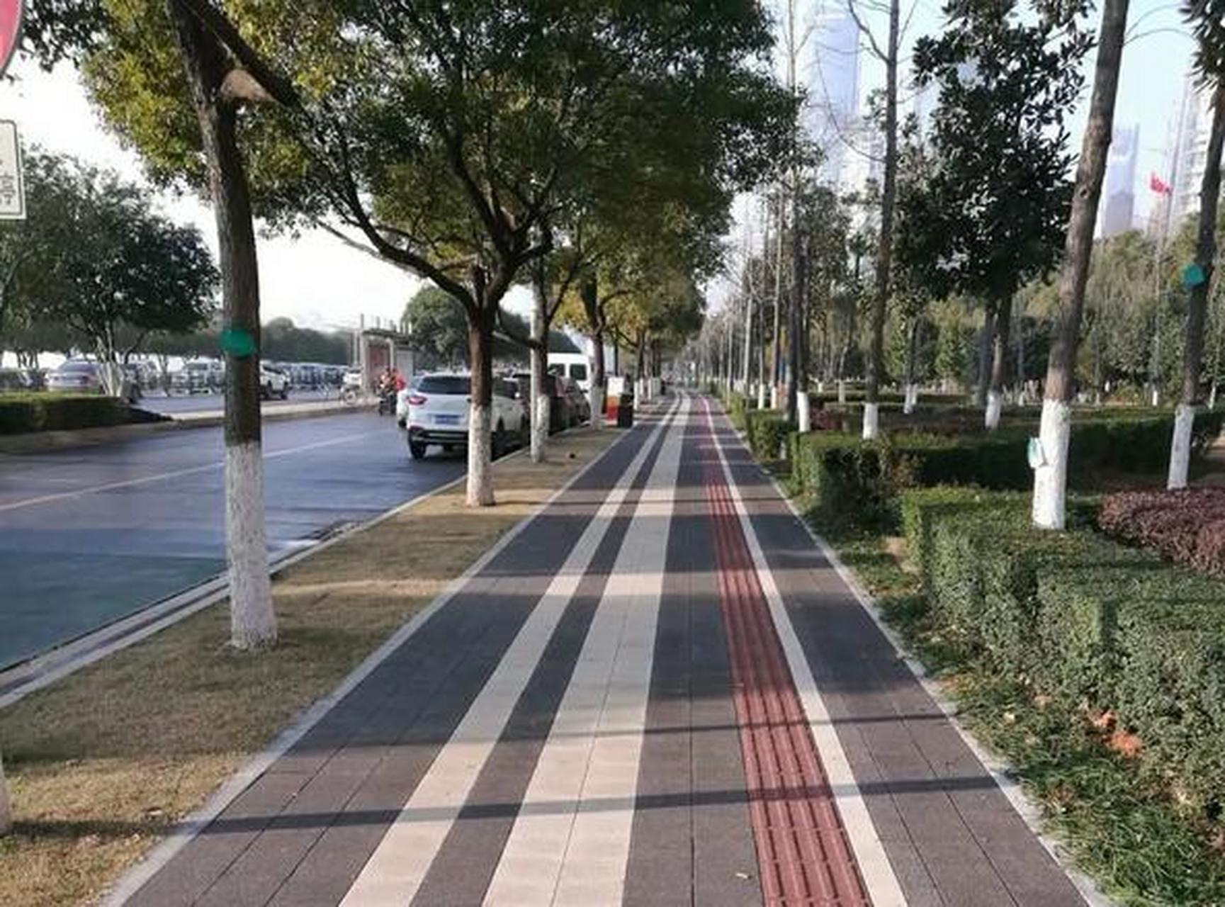 道路的路肩是什么?在哪个部位?