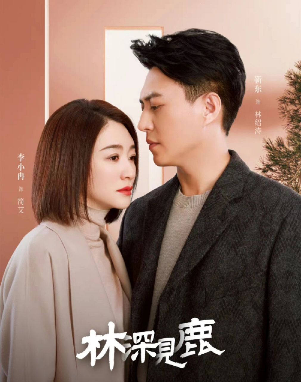 电视剧《林深见鹿》    97《林深见鹿》林绍