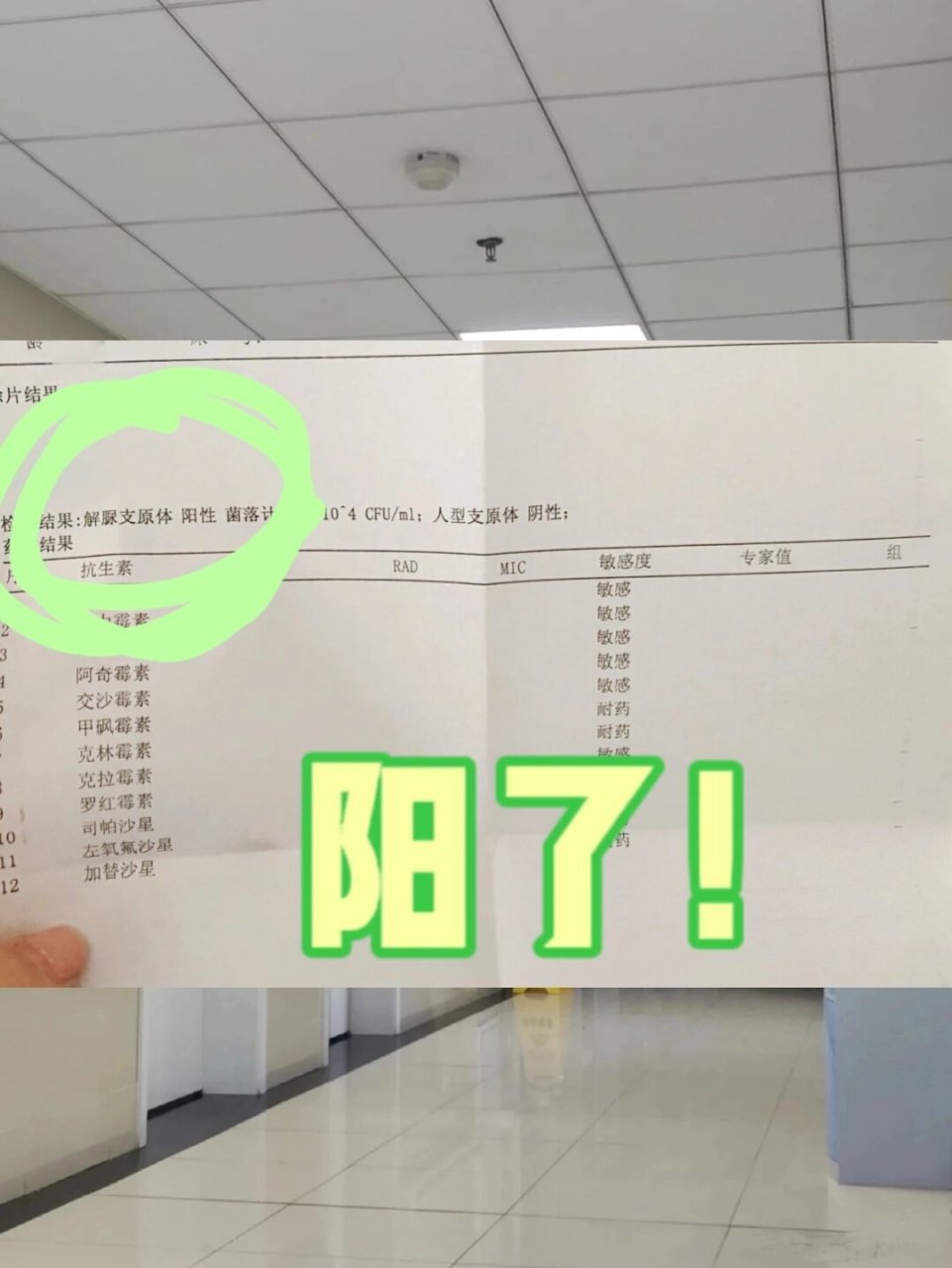 如果女生解脲支原体阳性,证明已被感 染,解脲支原体与女性生殖健康