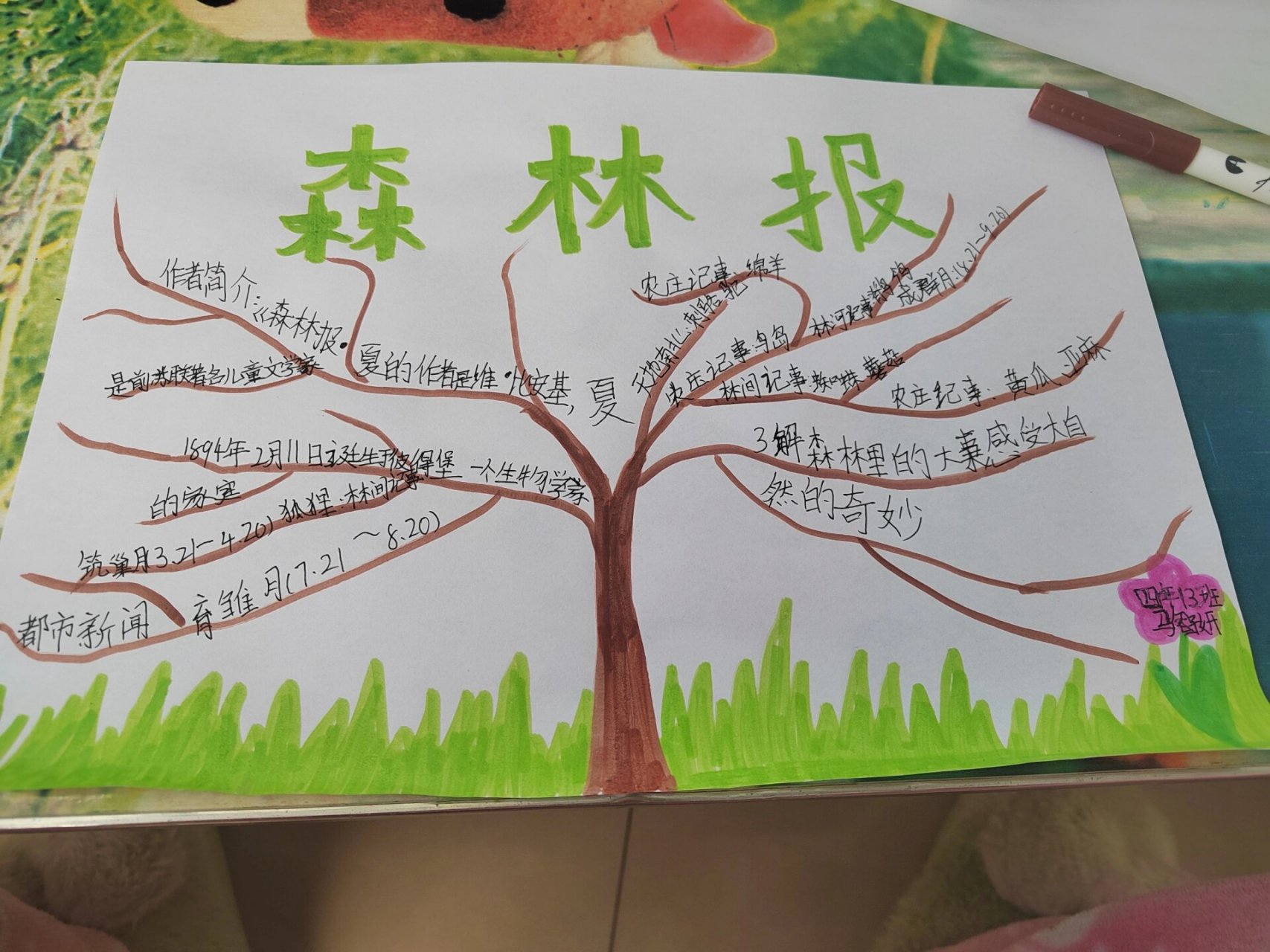 森林报·夏 思维导图