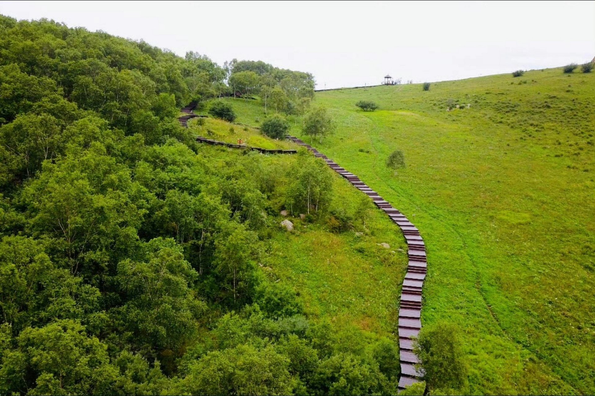 茅荆坝国家森林公园 作为一个旅行摄影师,起了个大早,尽管没有遇到