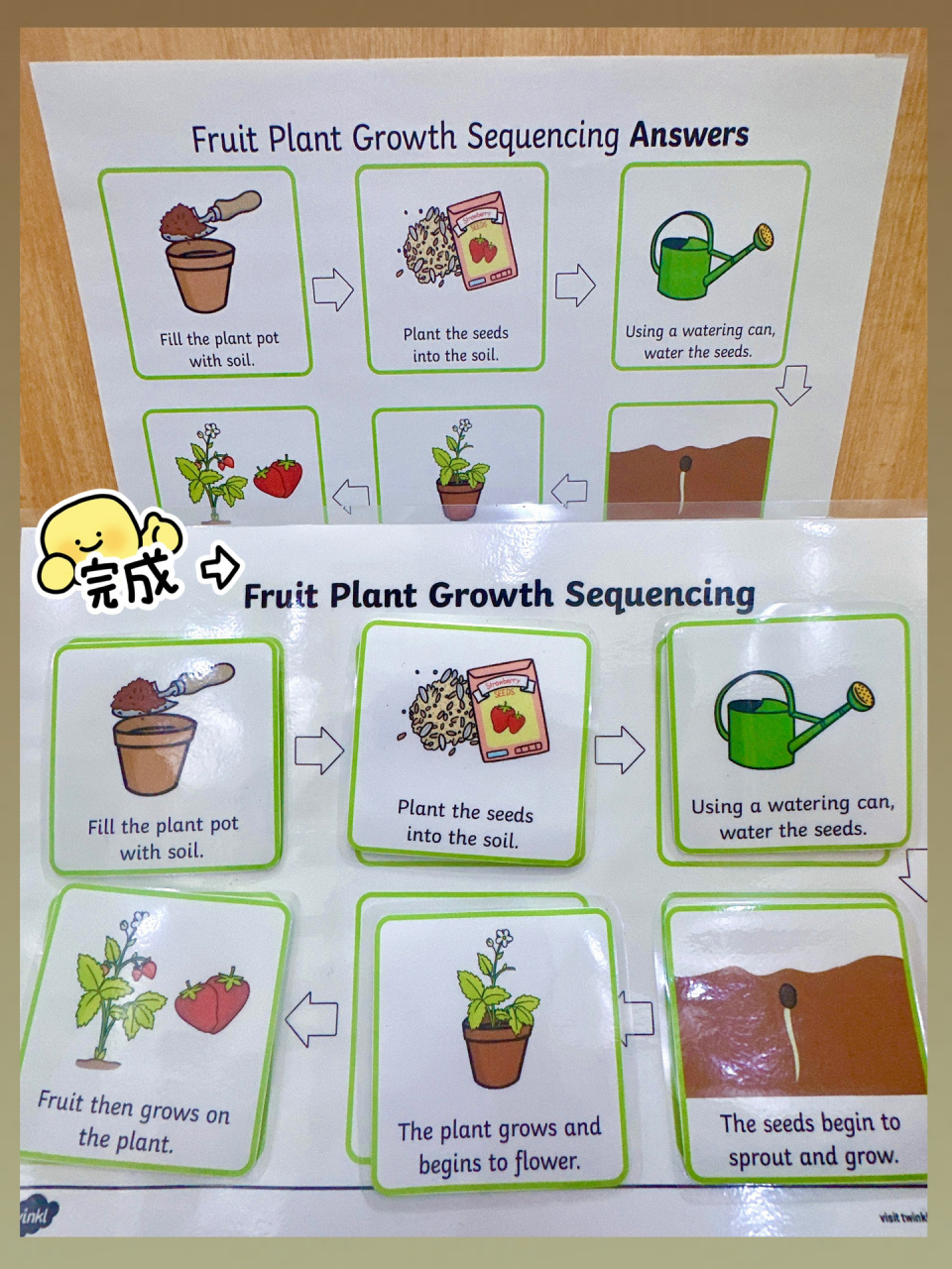 英语启蒙|植物主题|how to grow a plant 00 今天是植树节,应个景