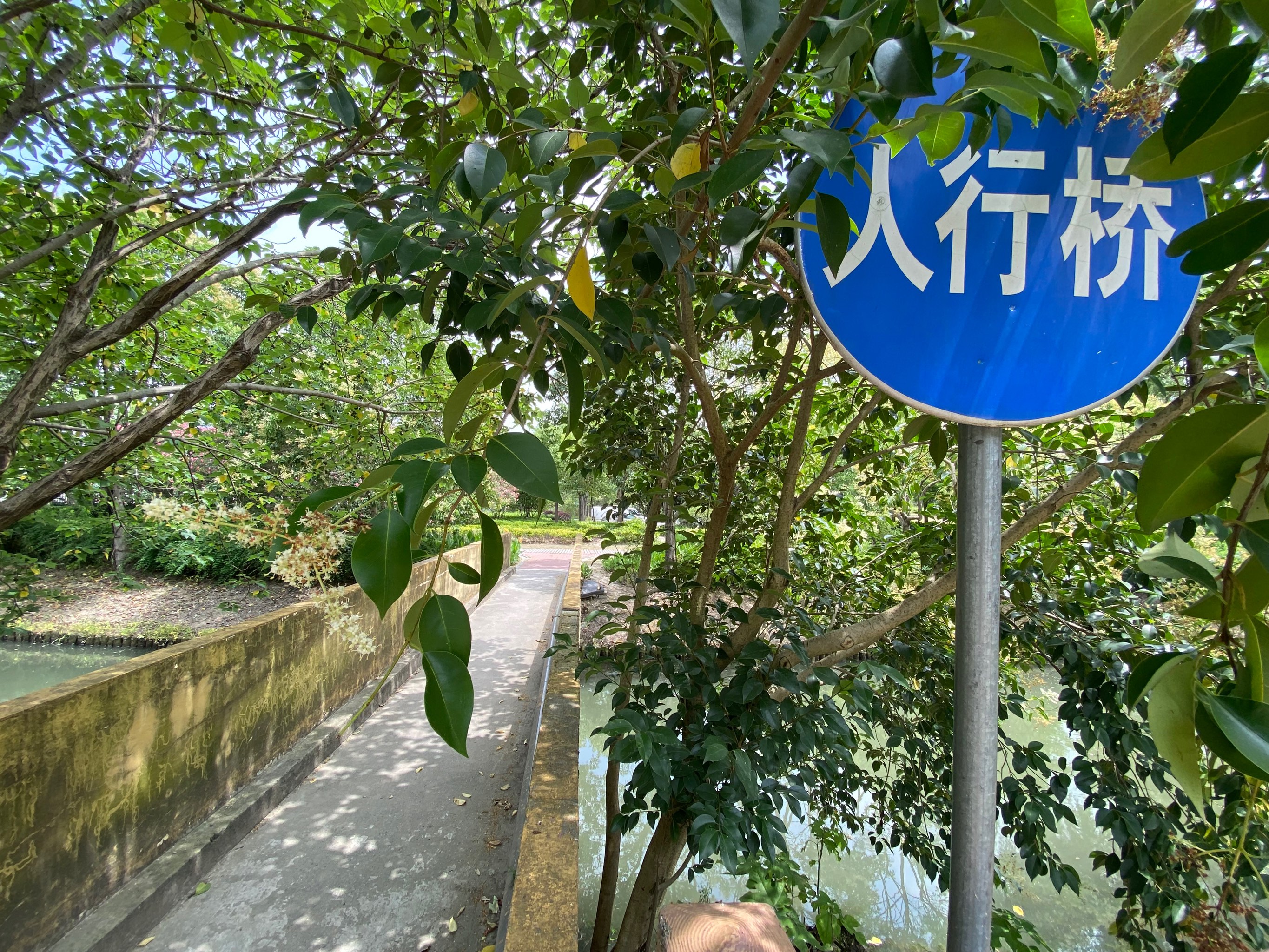 宝山区南大公园