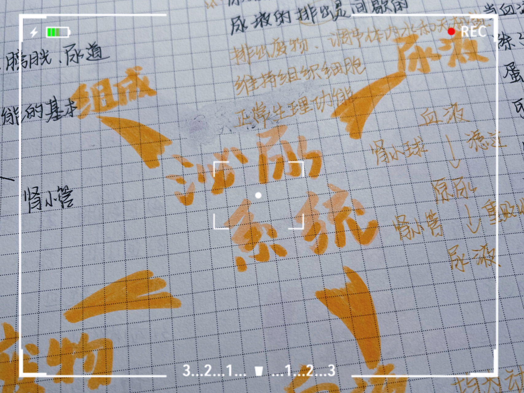 生物思维导图之泌尿系统